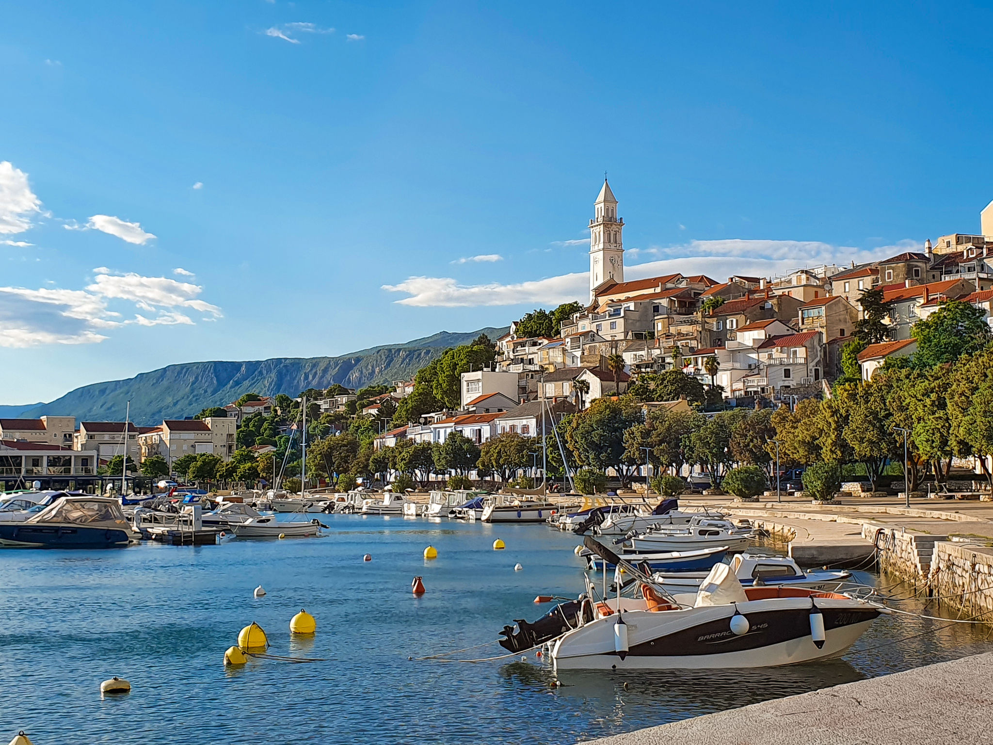 Mudrovcic / HR-11134-01 - Environnement