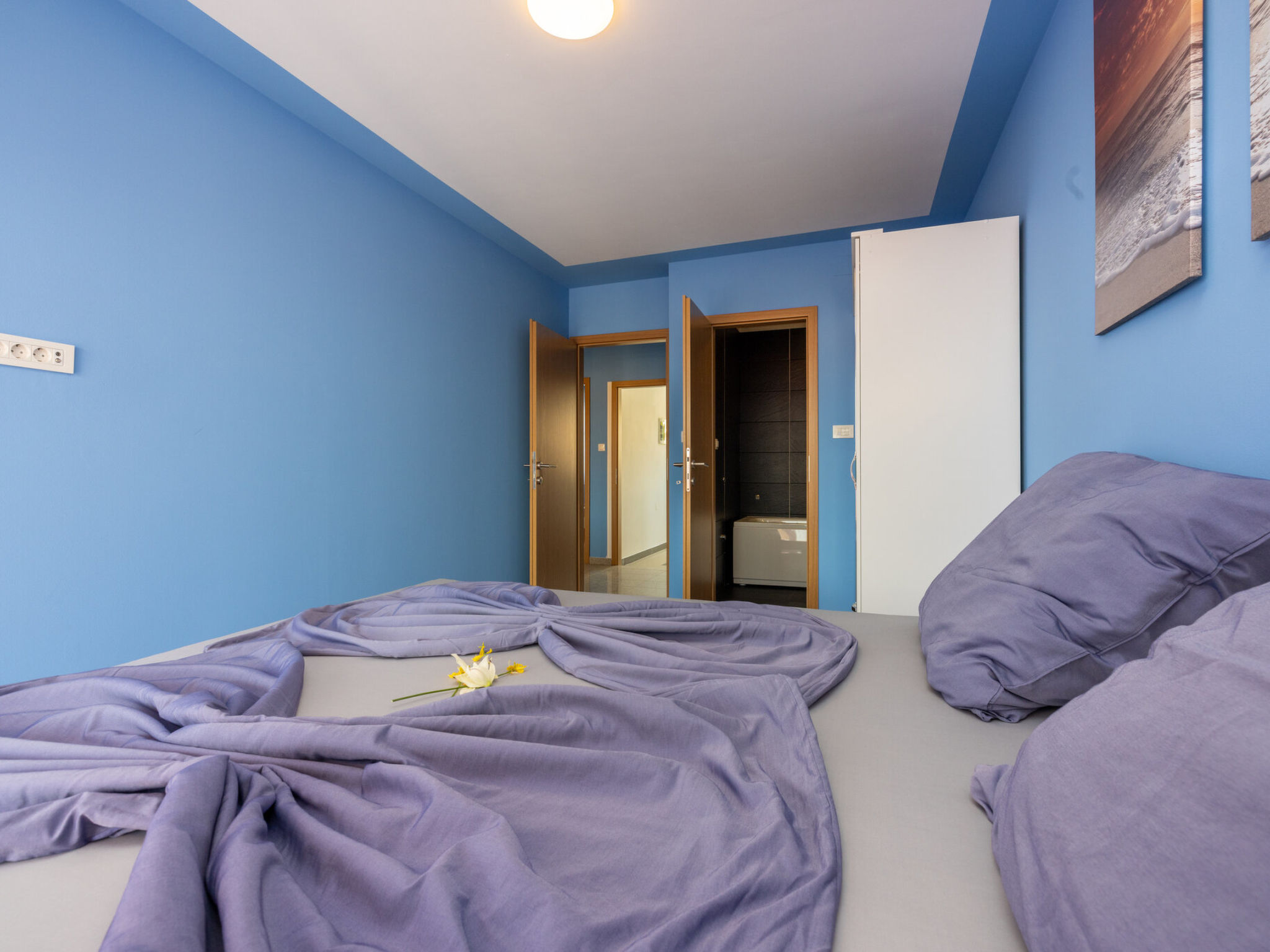 ABERT SUSI / HR-05640-01 - Inside