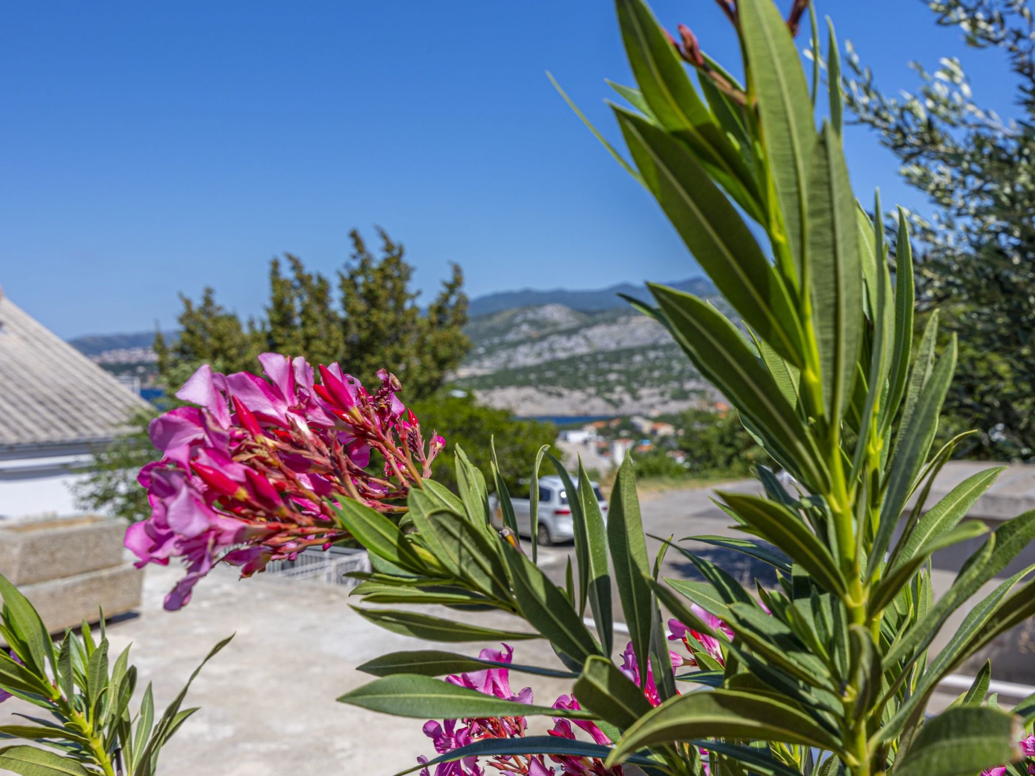 Villa Barbara-Image-tags.info