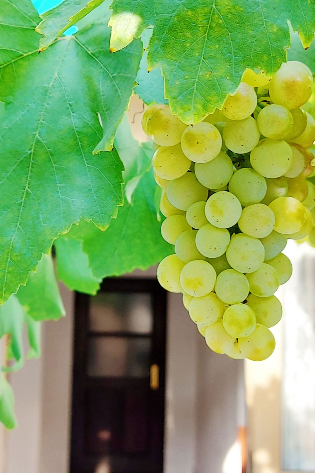 Holiday House Jure-Drinnen