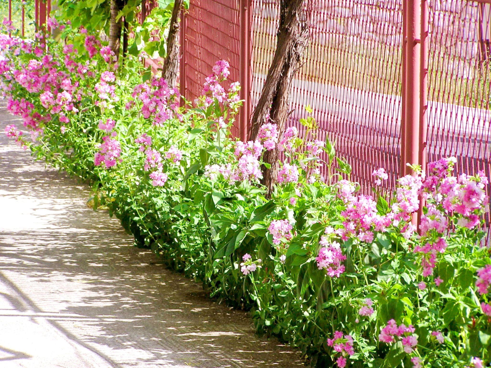 Holiday House Jure-Drinnen