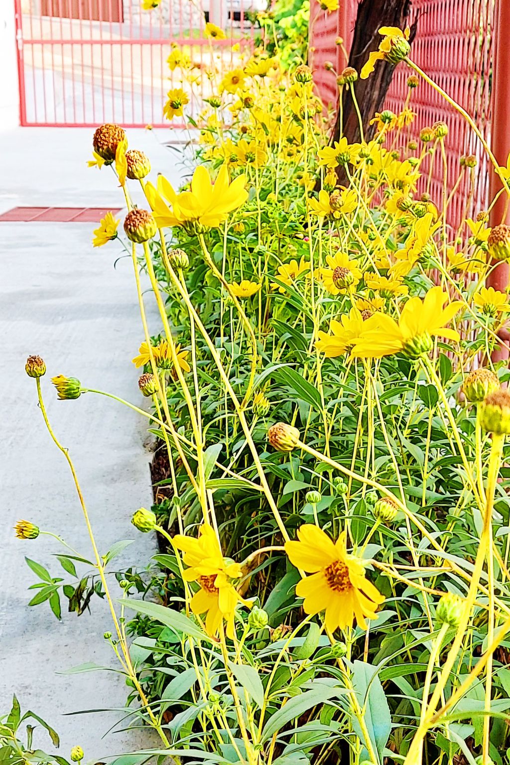 Holiday House Jure-Drinnen