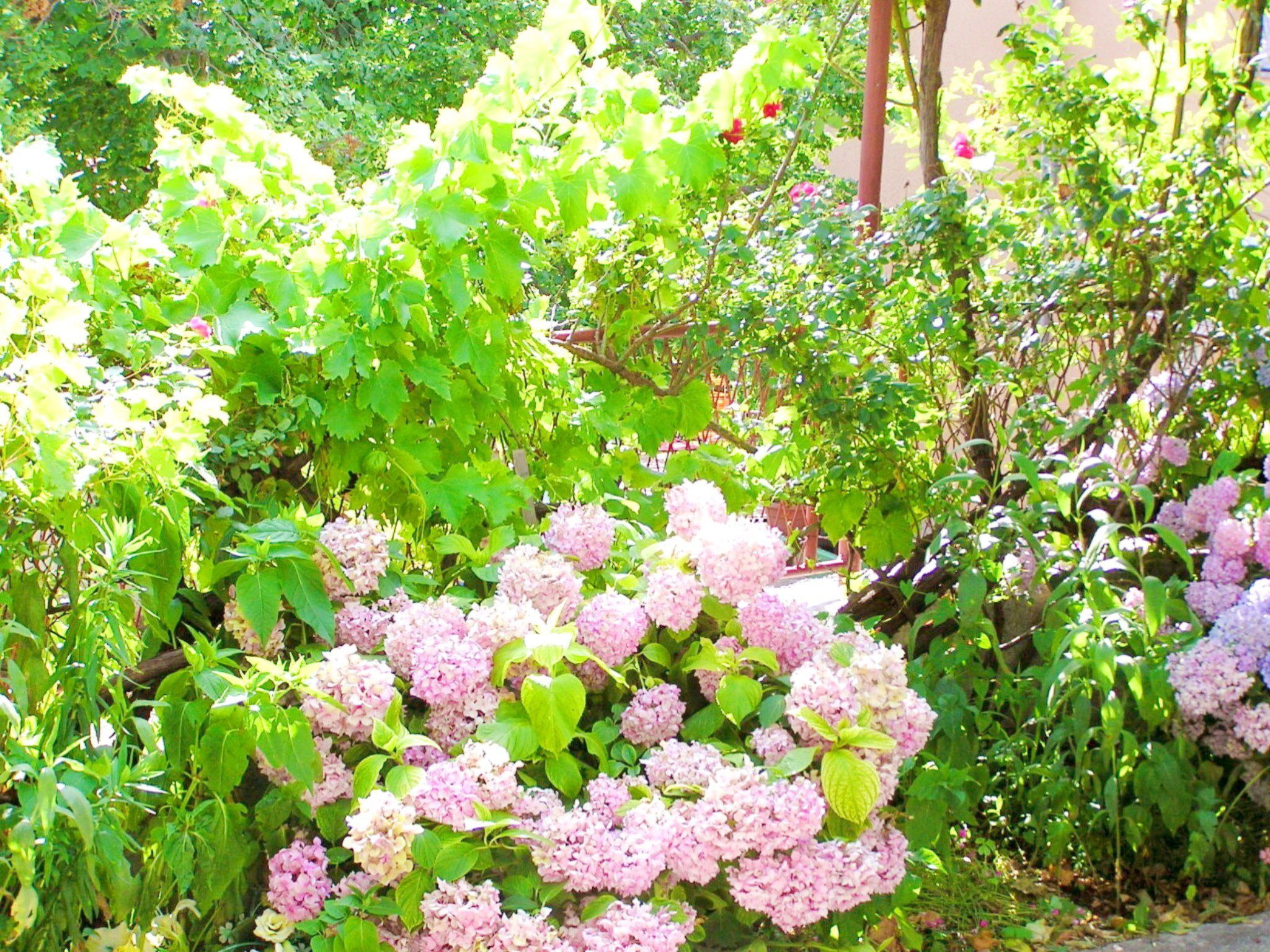 Holiday House Jure-Drinnen