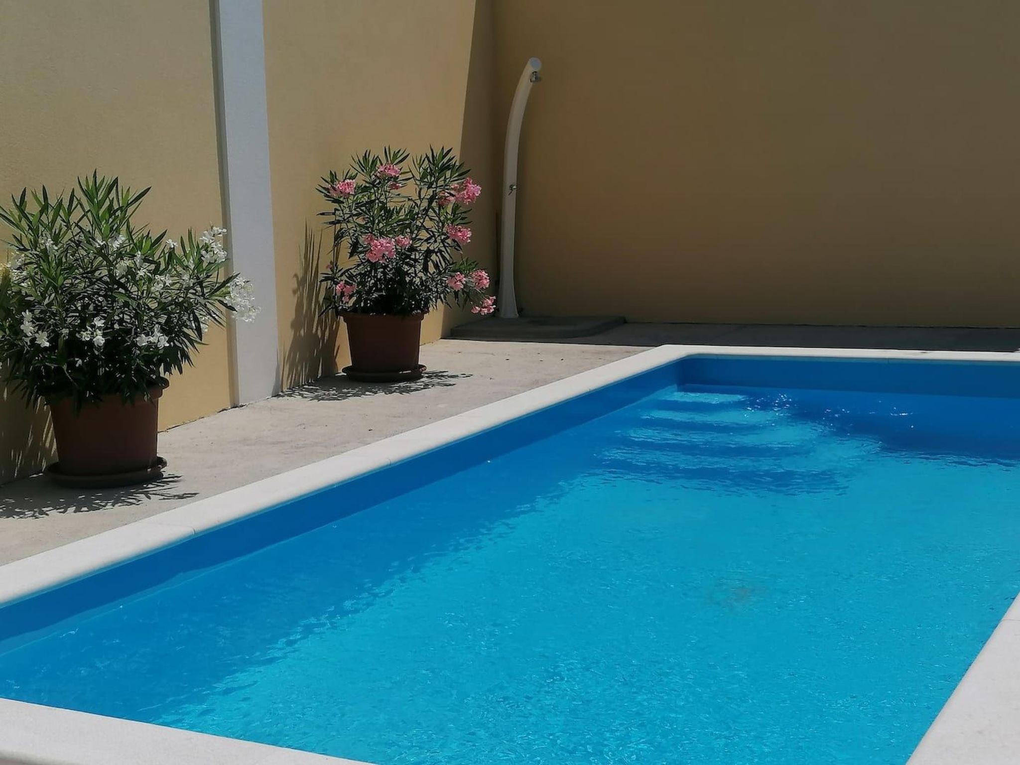 Gesamte Wohnung mit Terrasse und Meerblick-Binnen