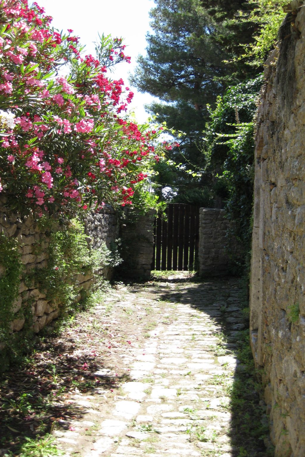 In Osor mit Privatem Pool-Binnen