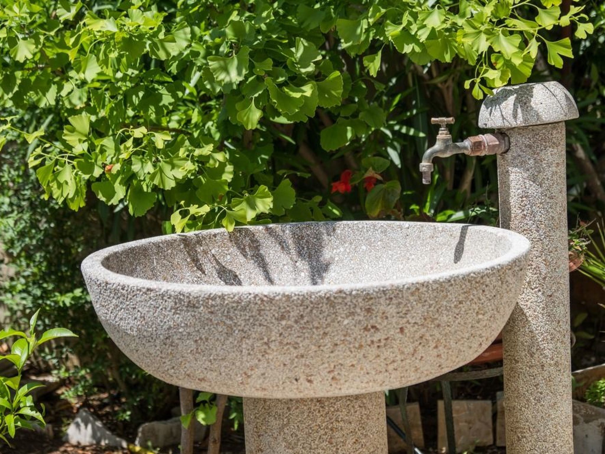 Villa Magnolia - Apartment Lavanda-Binnen