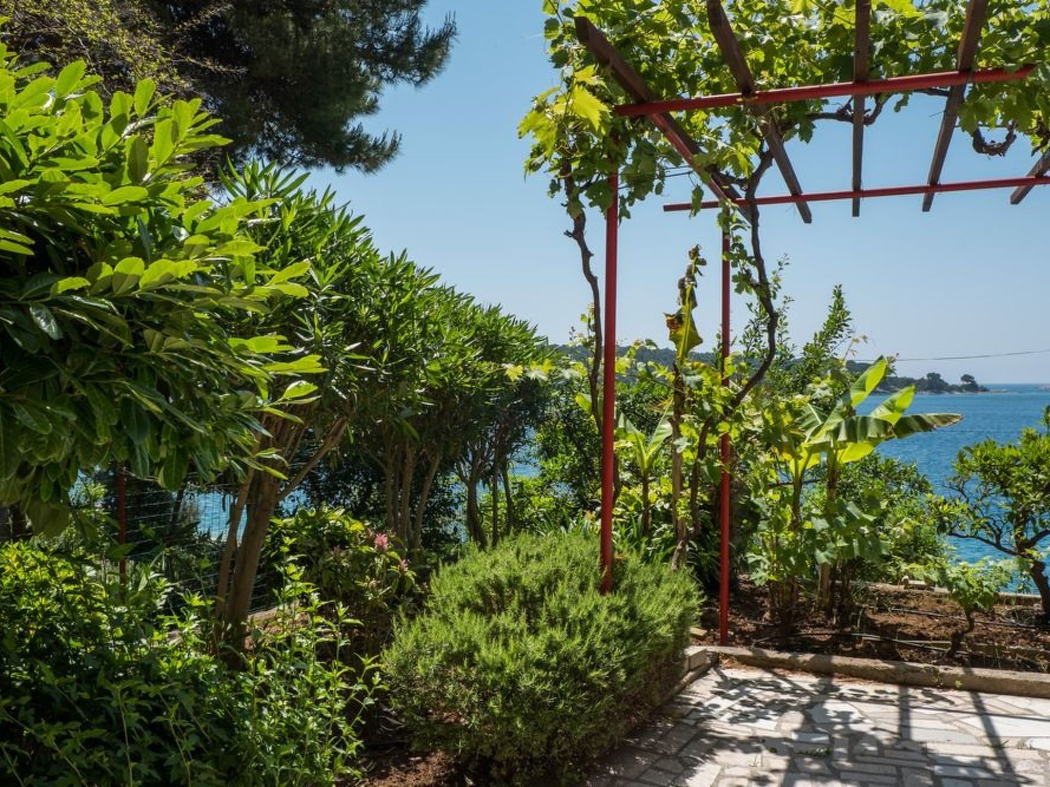 Villa Magnolia – Apartment Magnolia-Binnen