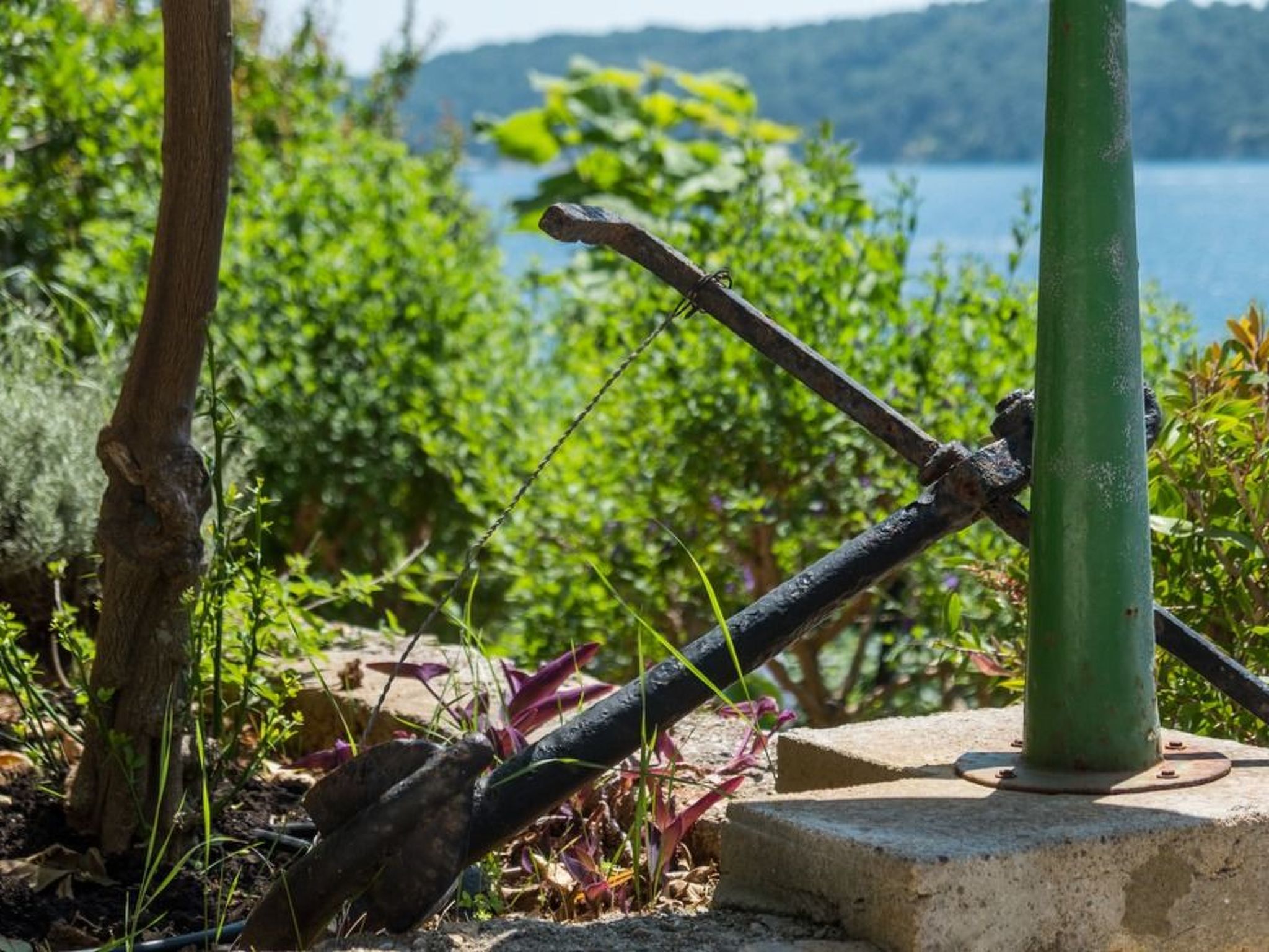 Villa Magnolia – Apartment Magnolia-Binnen