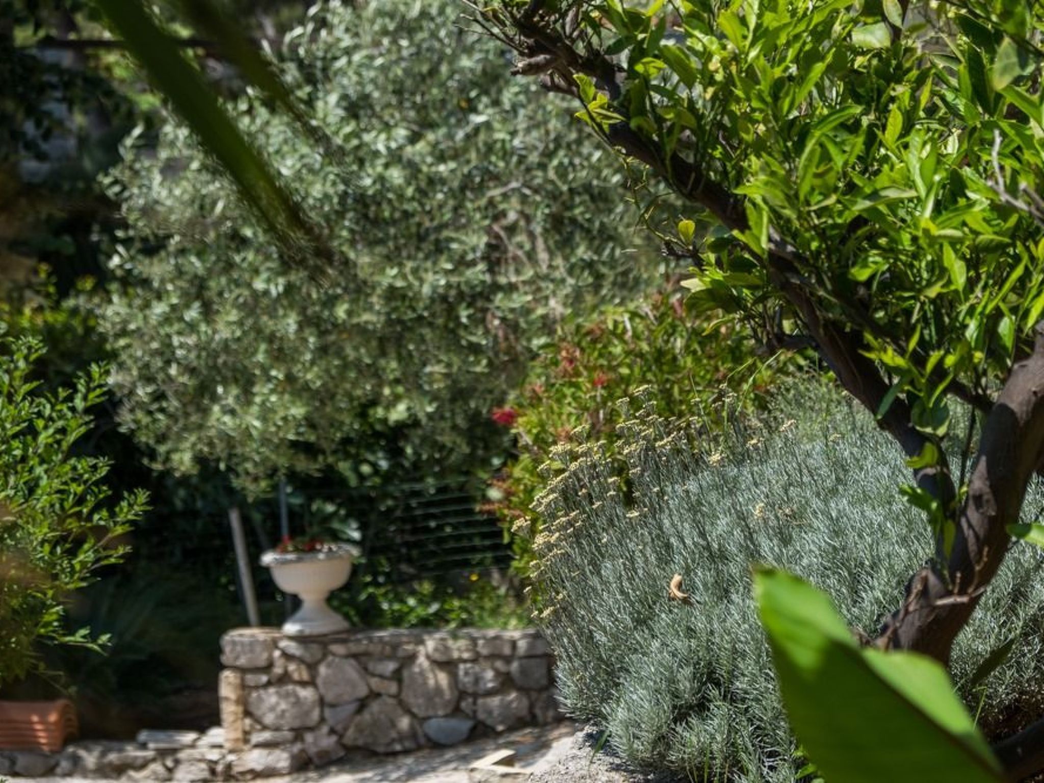 Villa Magnolia - Apartment Gardenia-Binnen