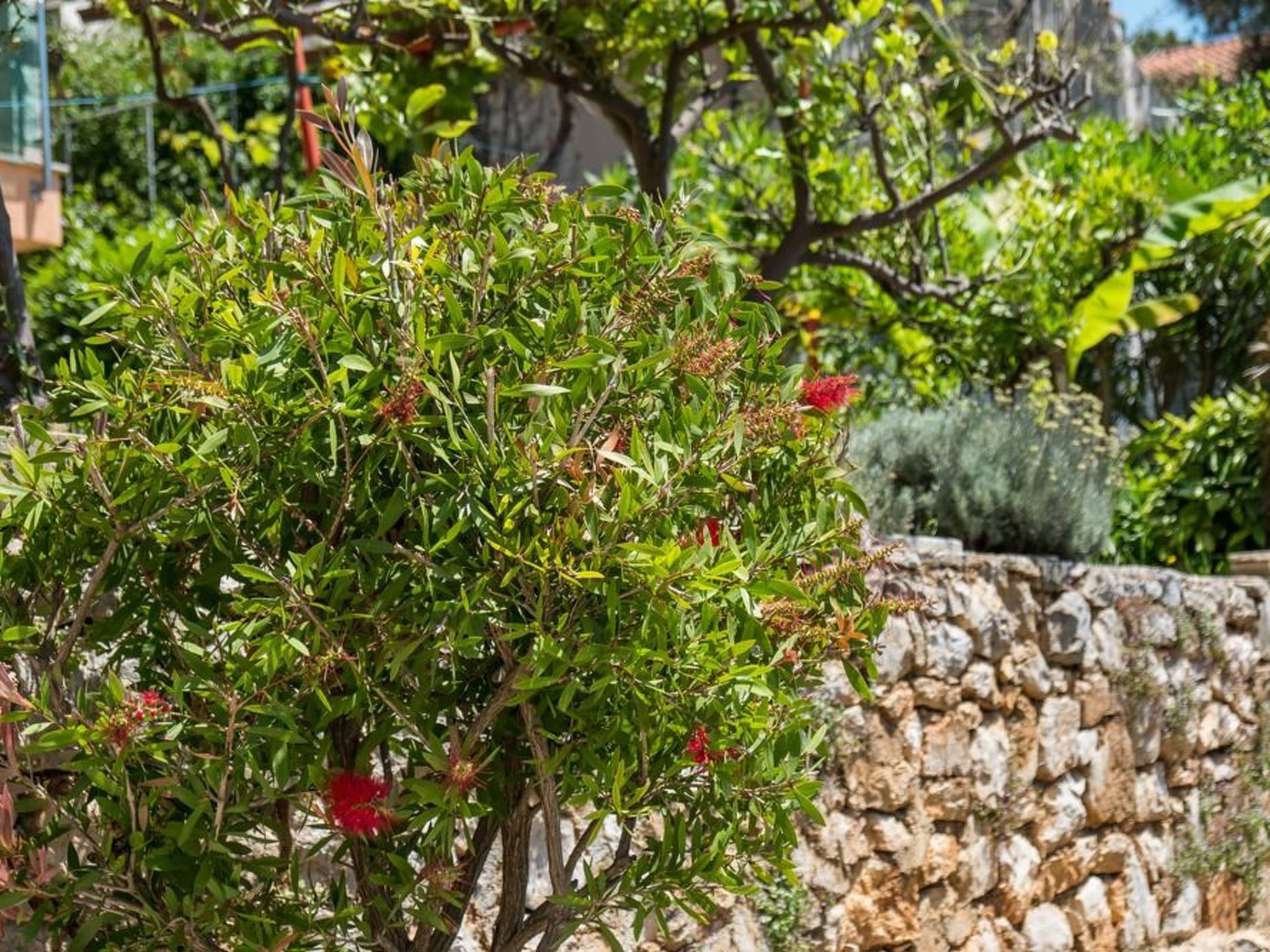 Villa Magnolia - Apartment Gardenia-Binnen