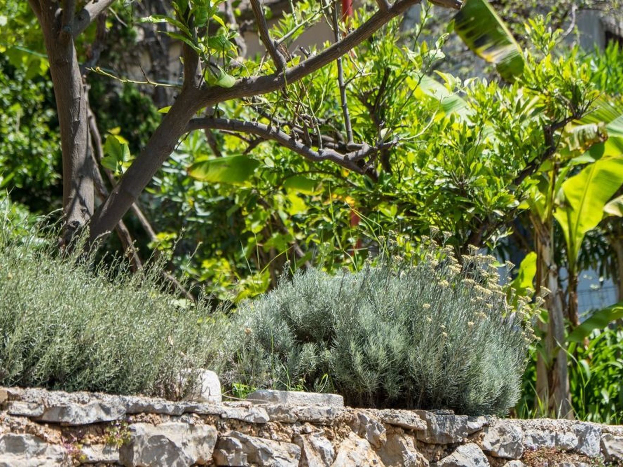 Villa Magnolia - Apartment Gardenia-Binnen