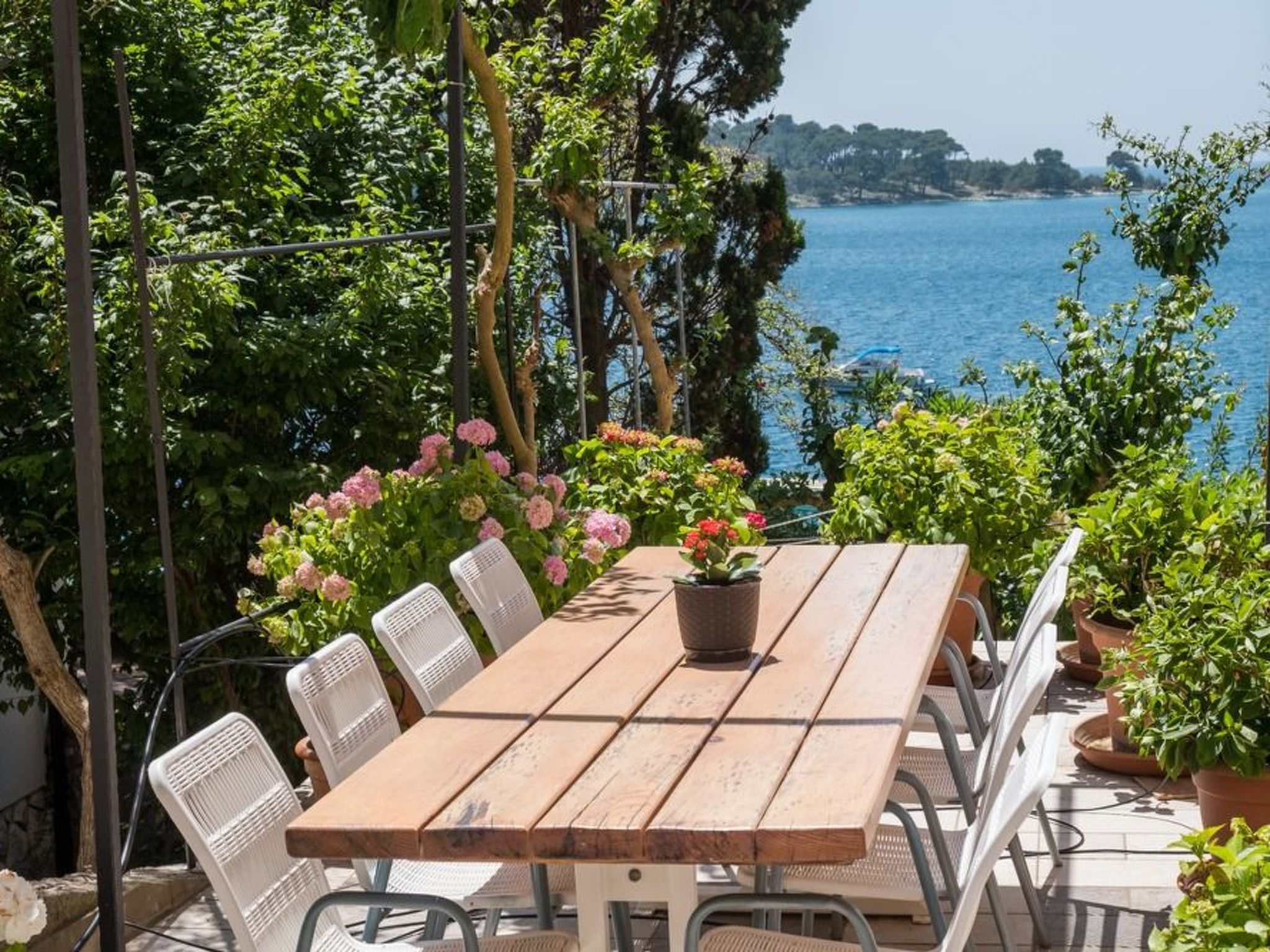 Villa Magnolia - Apartment Gardenia-Binnen