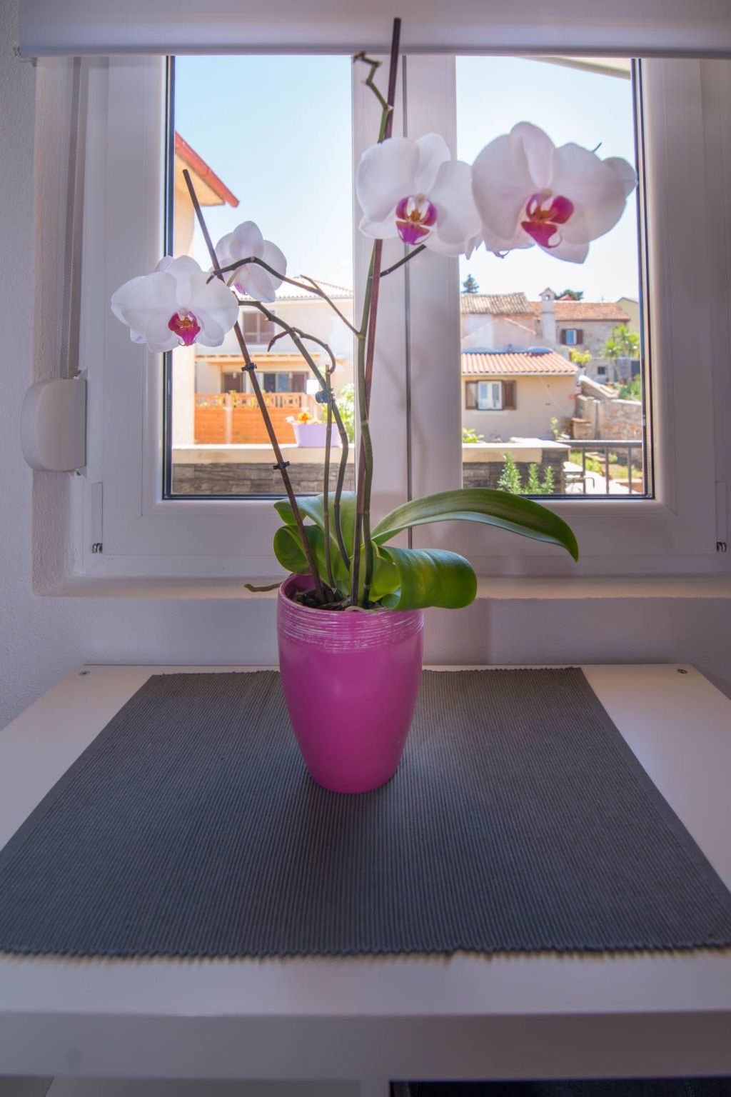 Andrej in Veli Losinj-Image-tags.info