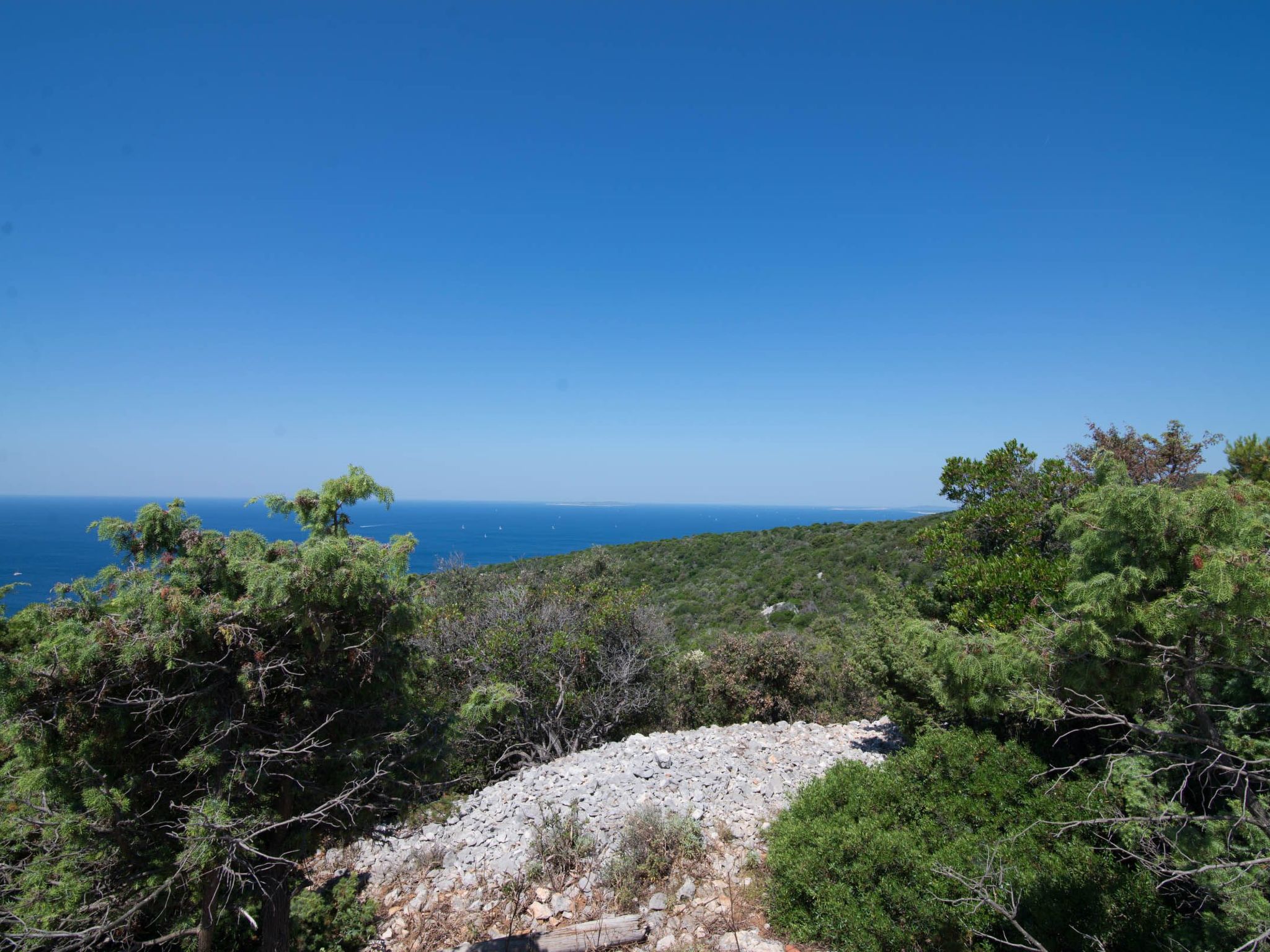 Wohnung Nika in Veli Losinj-Image-tags.info