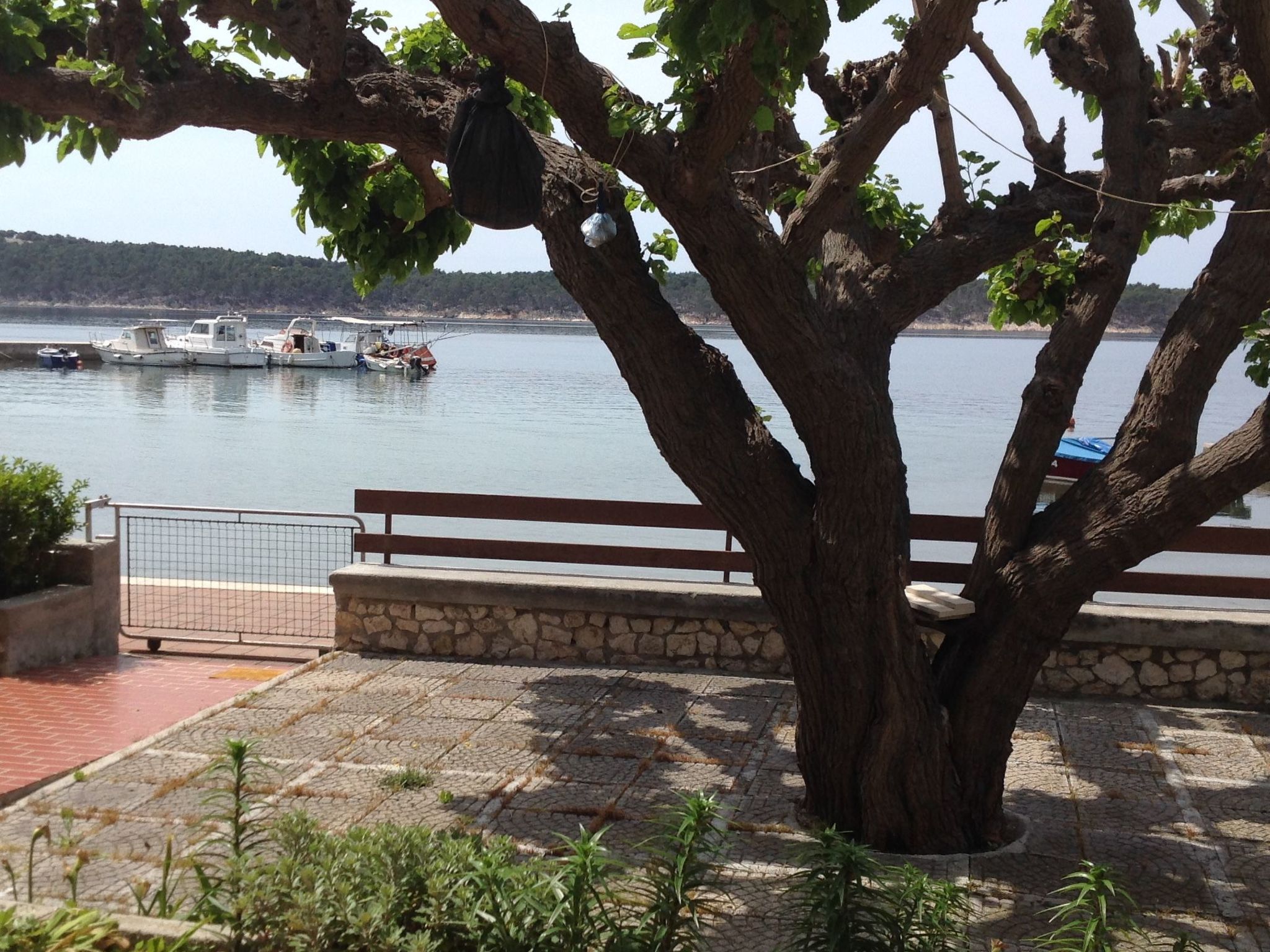 Photo of Wohnung 4 mit Meerblick