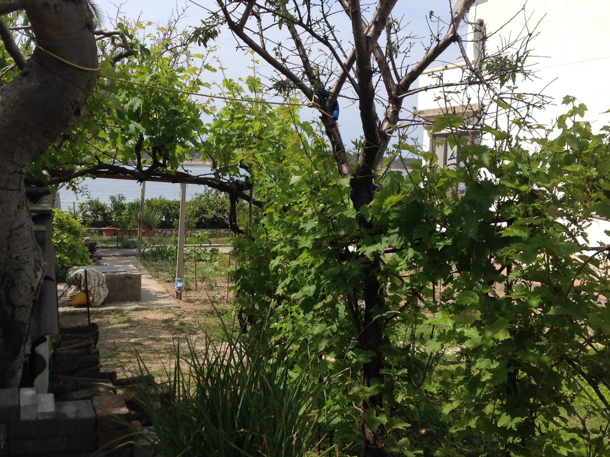 Photo of Wohnung 1 mit Meerblick