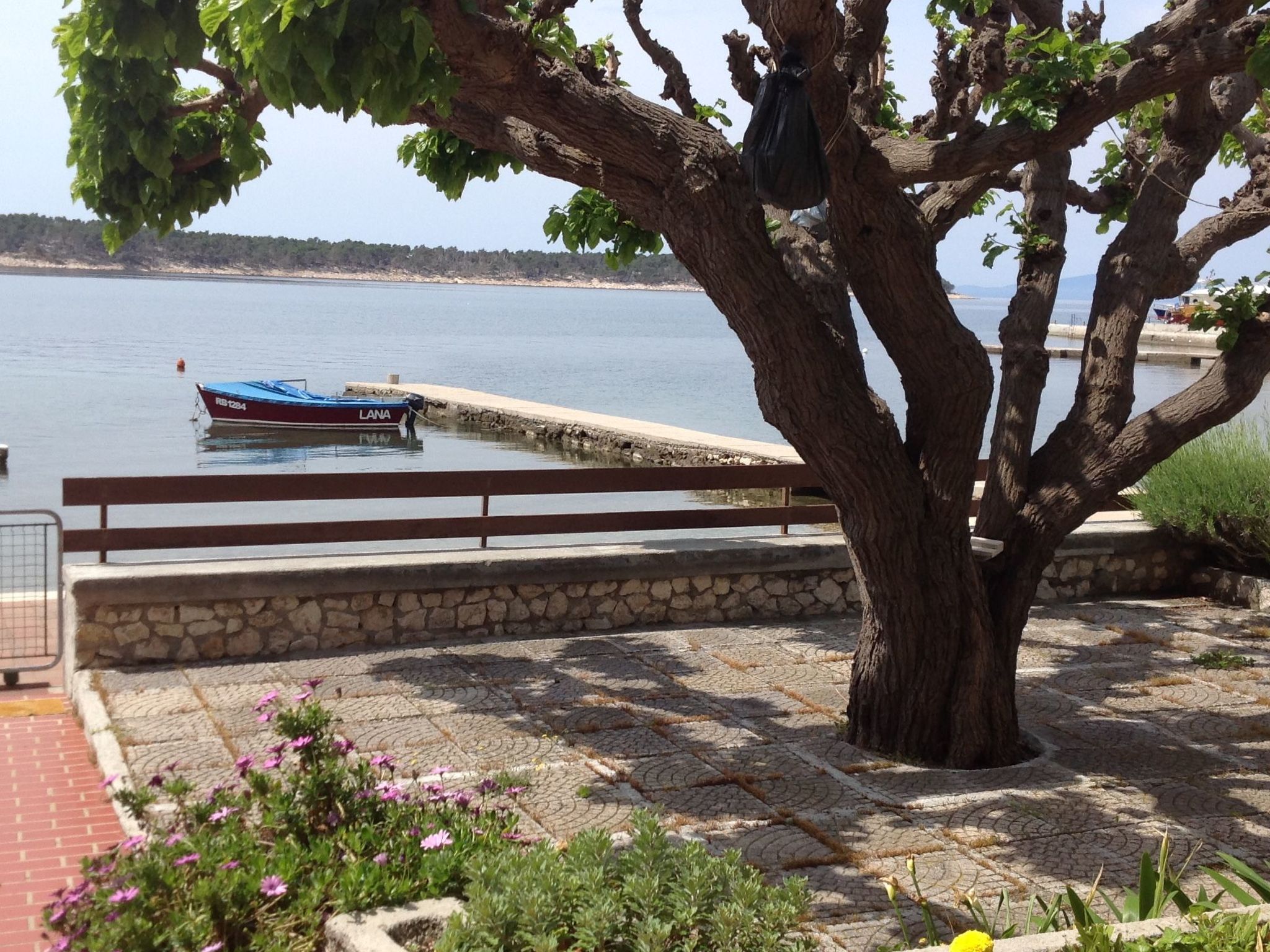 Photo of Wohnung 1 mit Meerblick