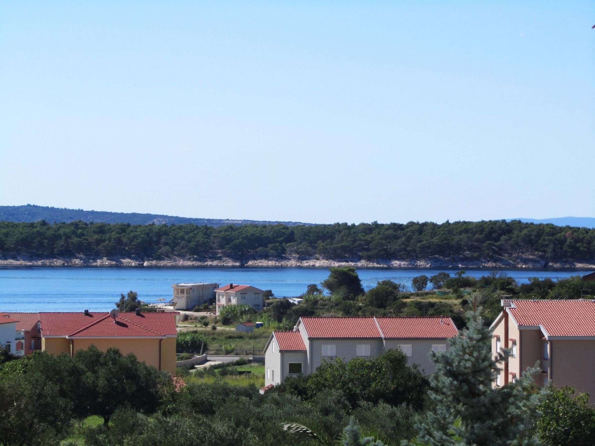 Photo of NR.2  SANDRA - APP 4