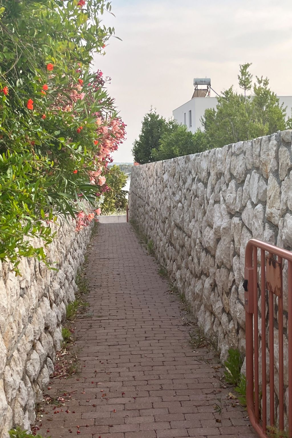 Photo of Sommerflucht 2