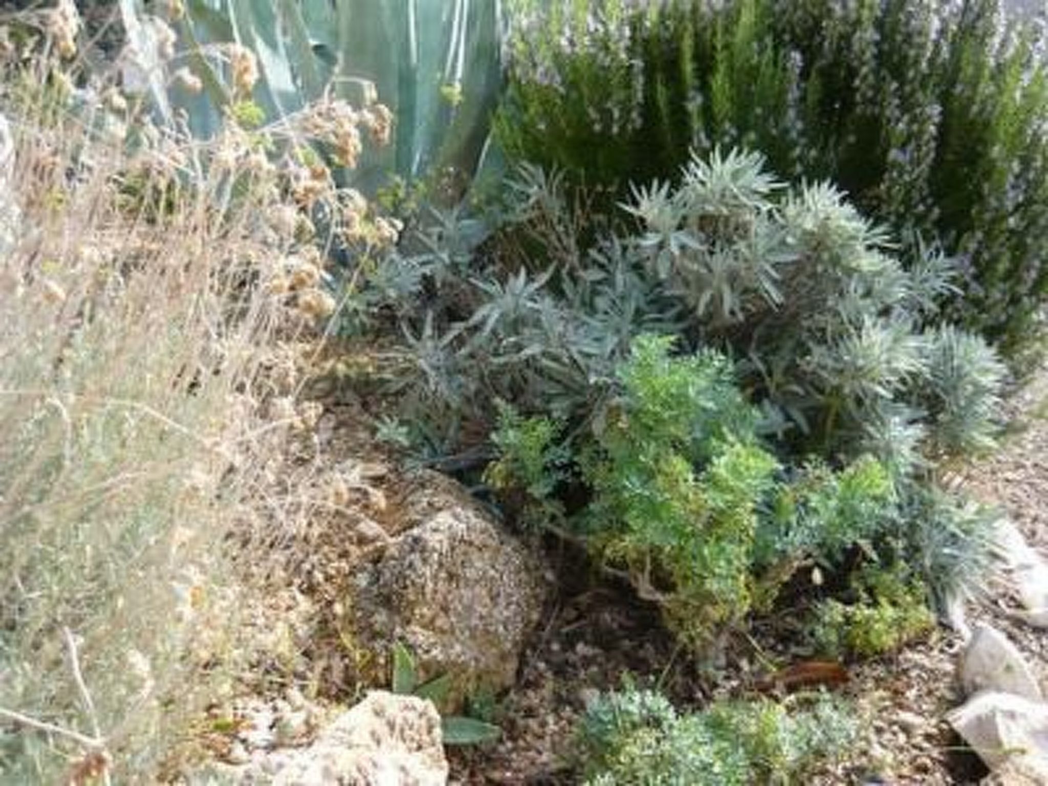 Jadro Apartments in Barbat mit Grill und Whirlpool-Binnen