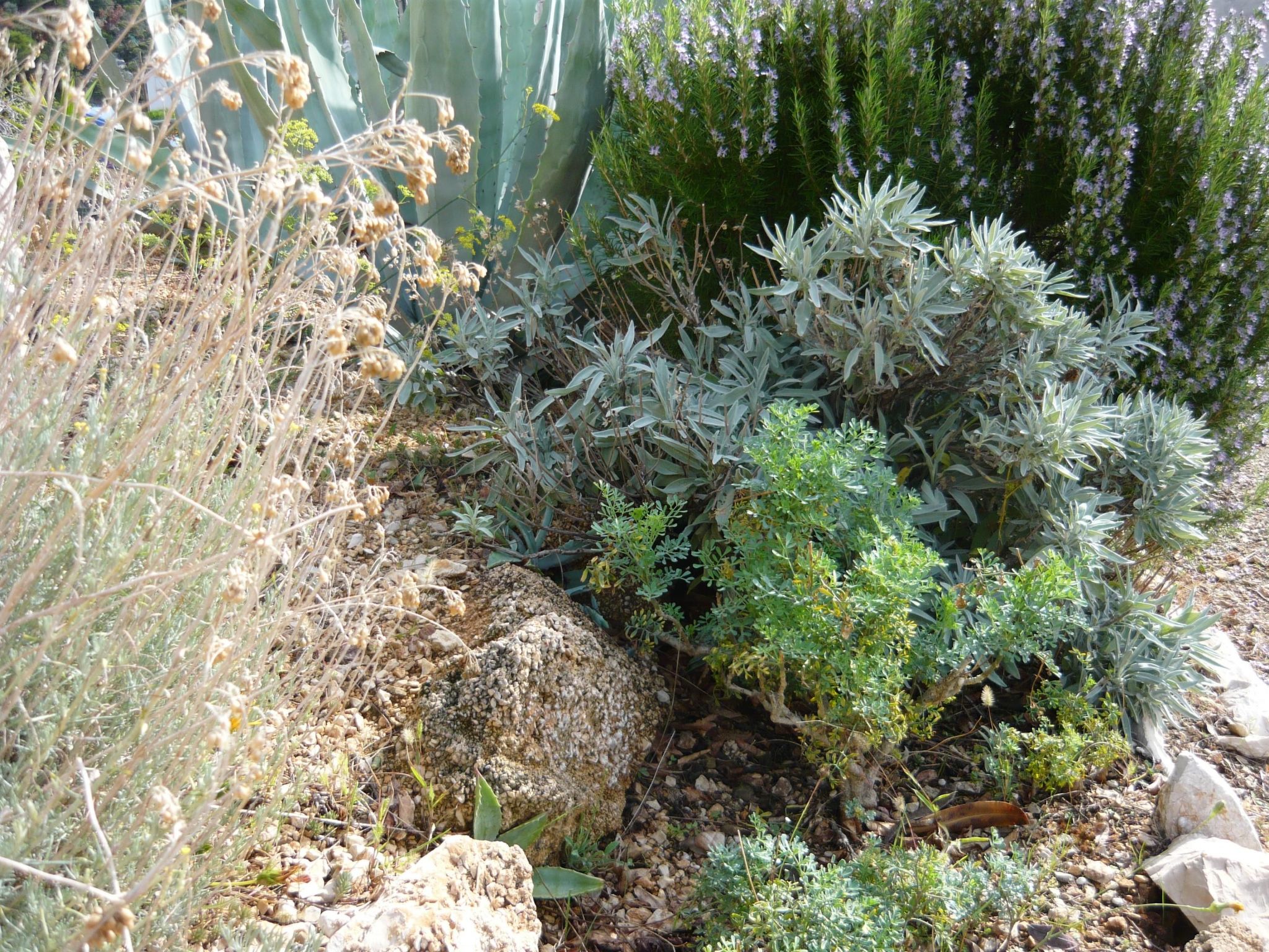 Insel Rab Jadro-Binnen