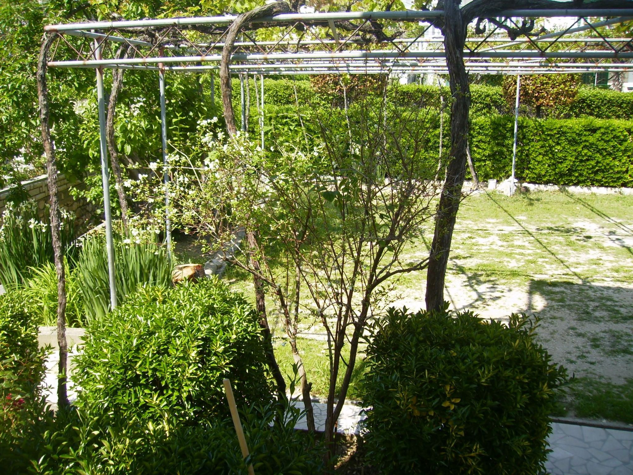 Appartement in Palit mit Privatem Balkon-Image-tags.info