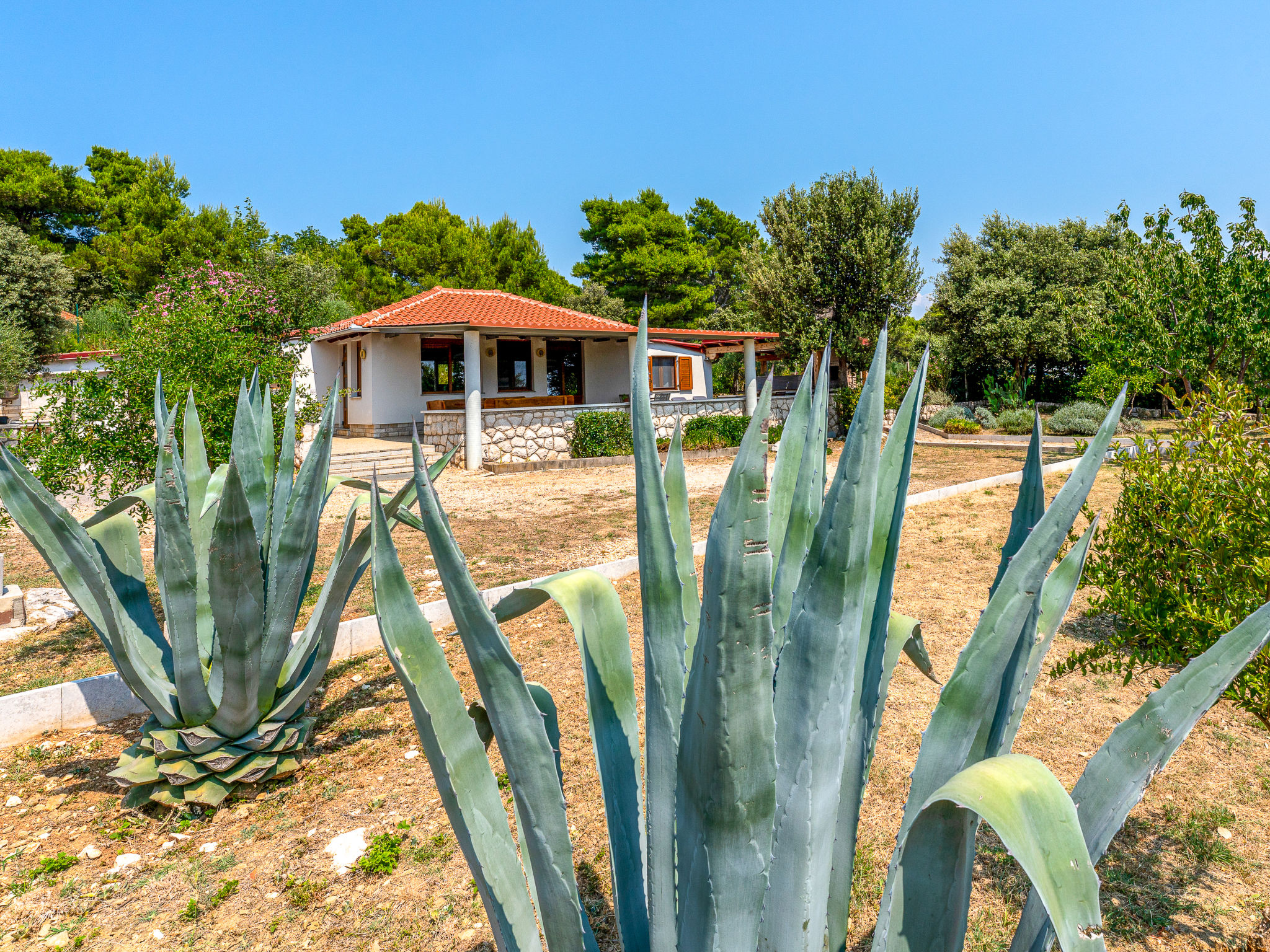Photo of Dundo House