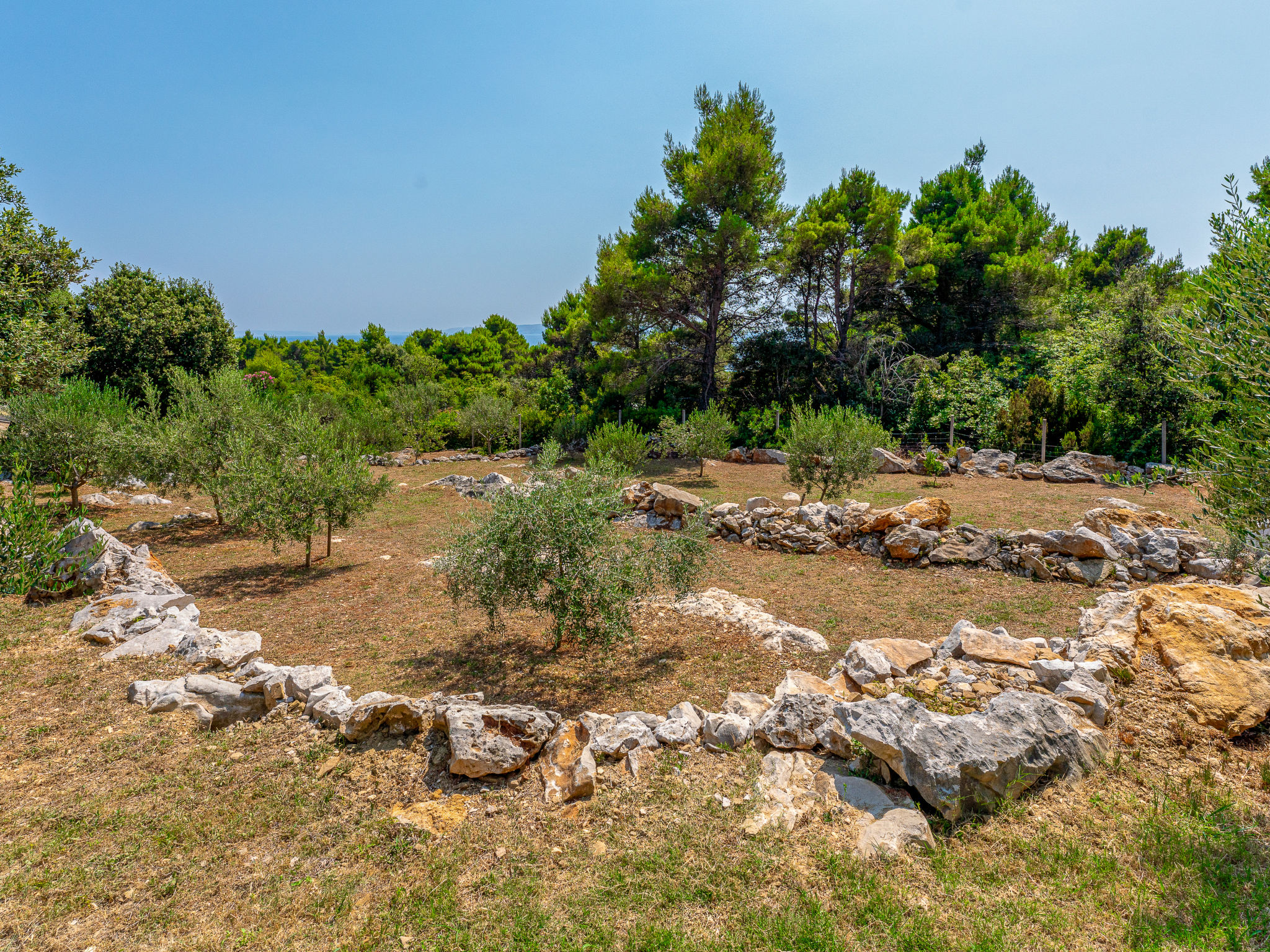 Photo of Dundo House