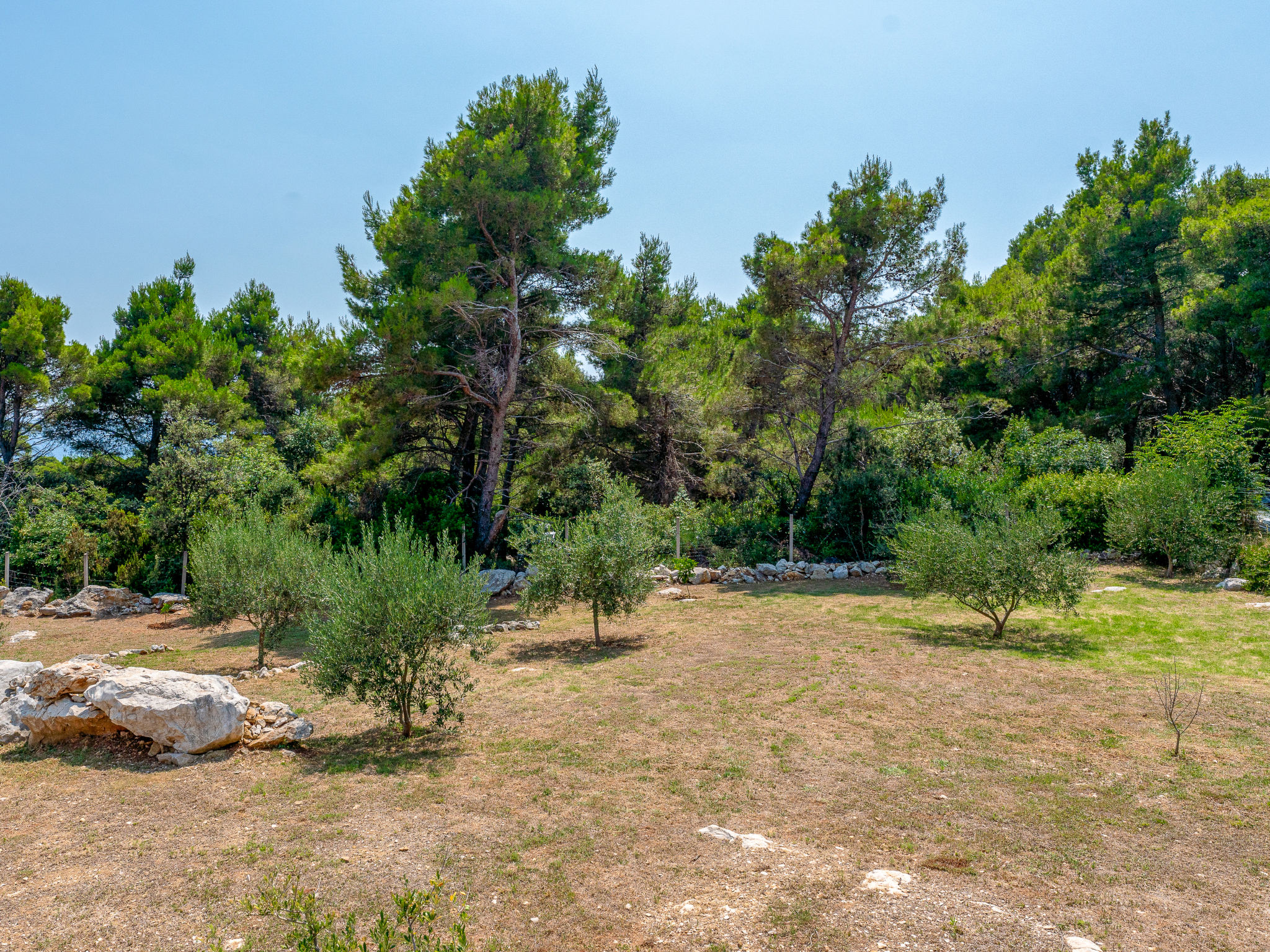 Photo of Dundo House