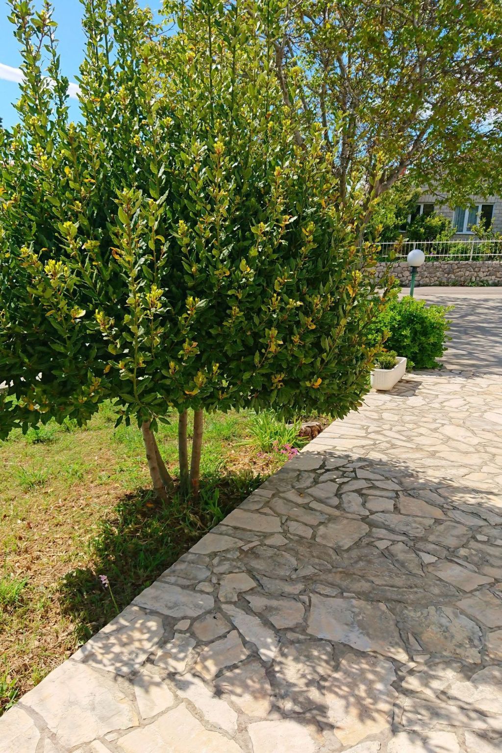 Wohnung in Kampor mit gemauertem Grill-Image-tags.info