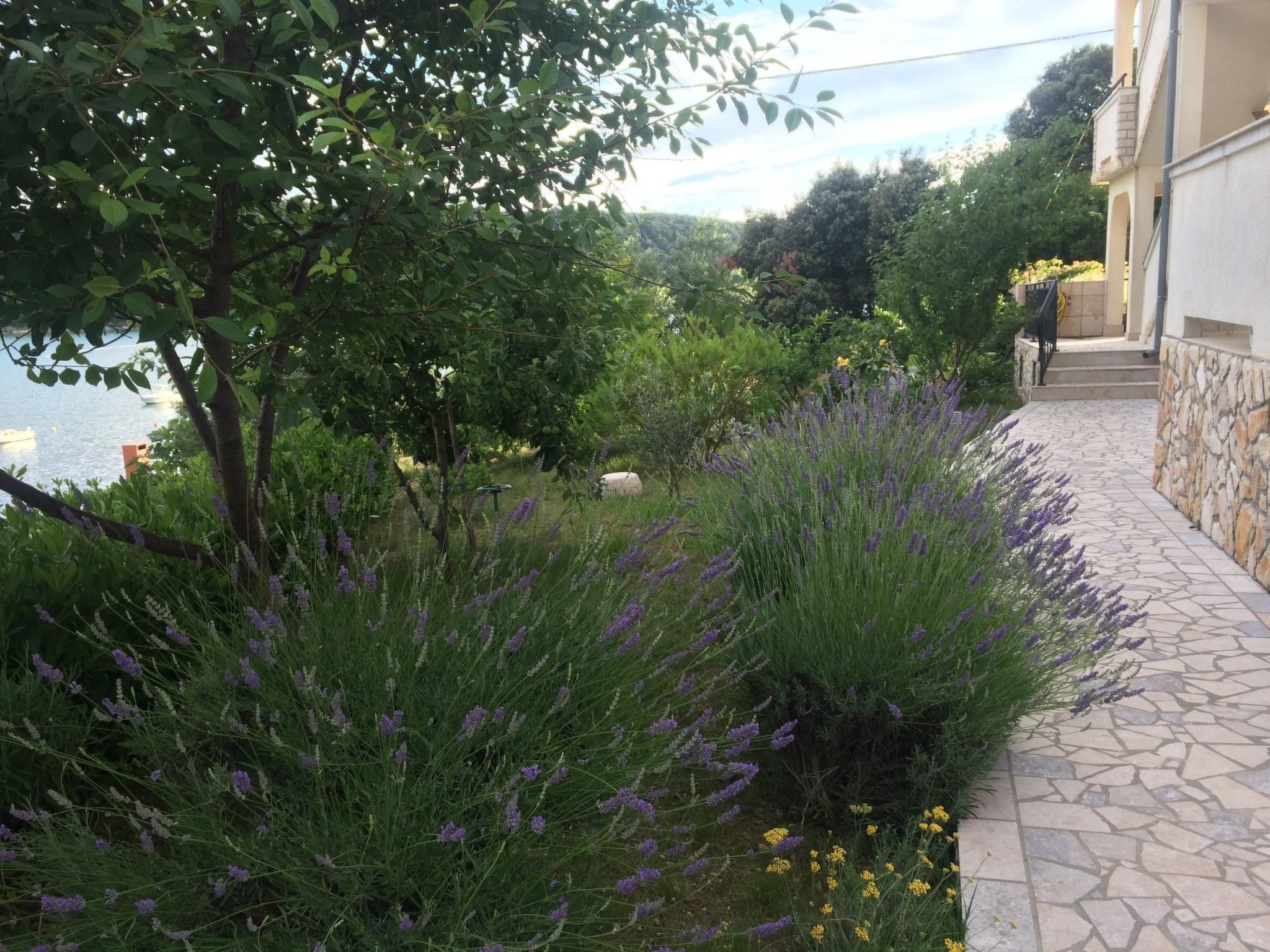 Im 2. Stock mit Meerblick-Image-tags.info