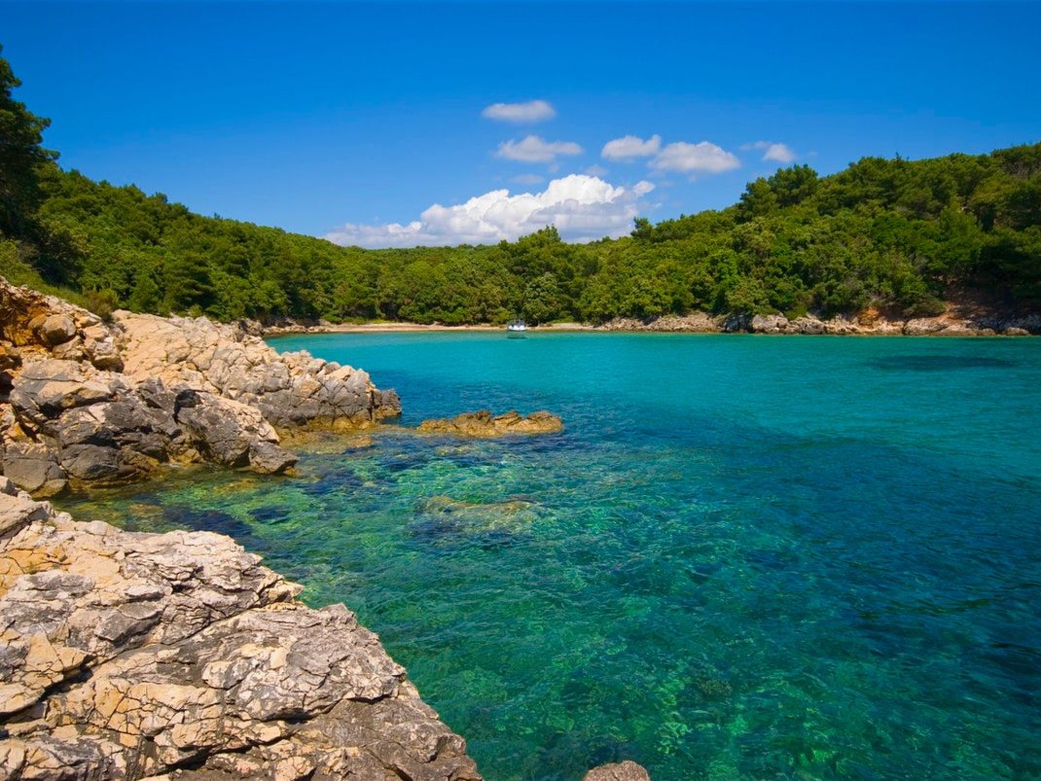 Geräumige Ferienwohnung mit Meerblick-Image-tags.info