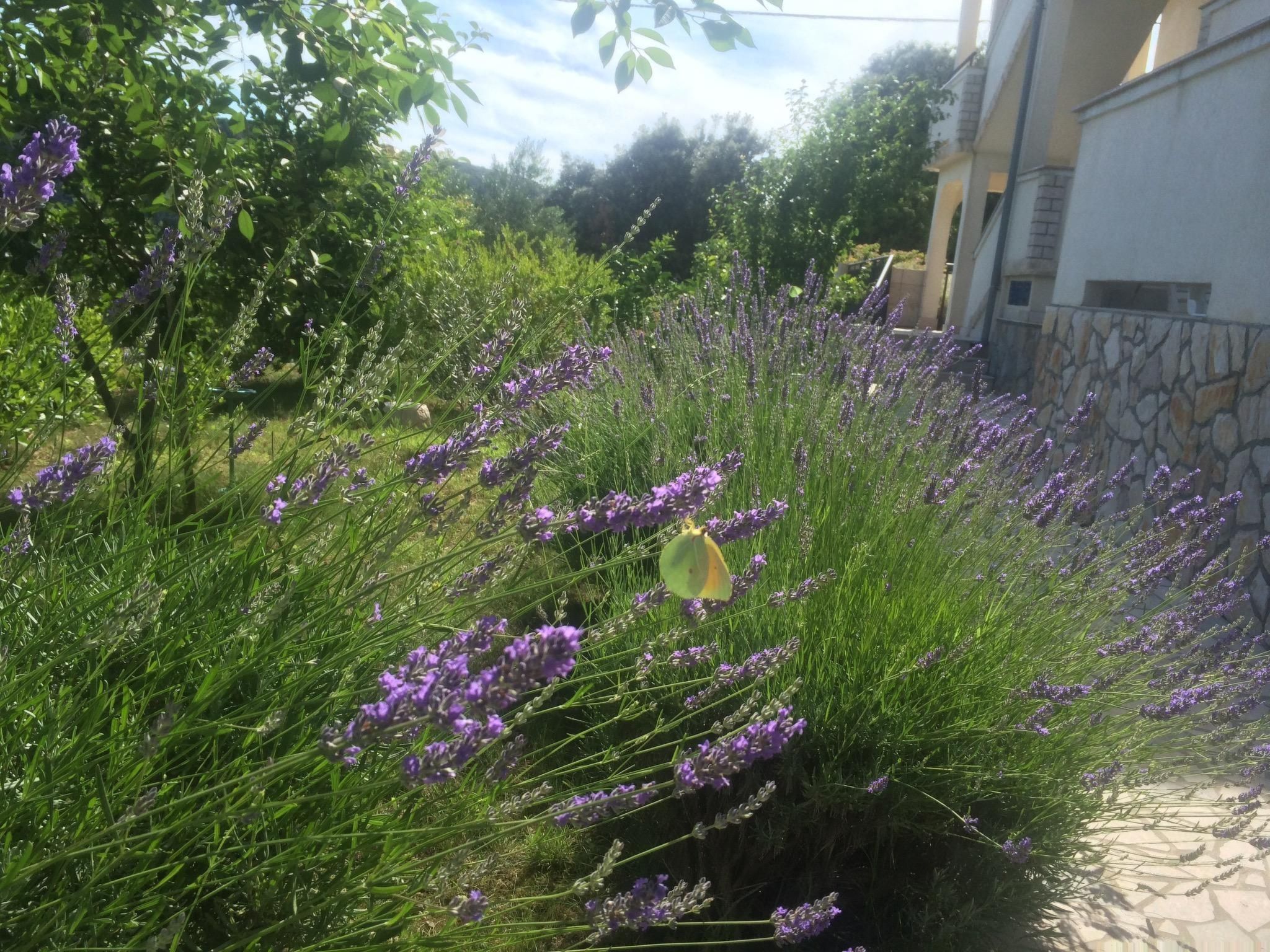 Mit Blick auf das Wasser-Image-tags.info