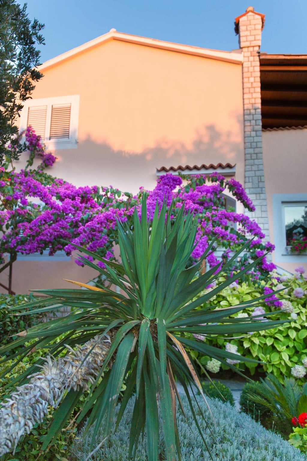 Photo of mit Terrasse