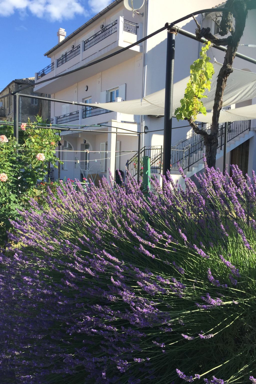 Für sechs Personen-Inside