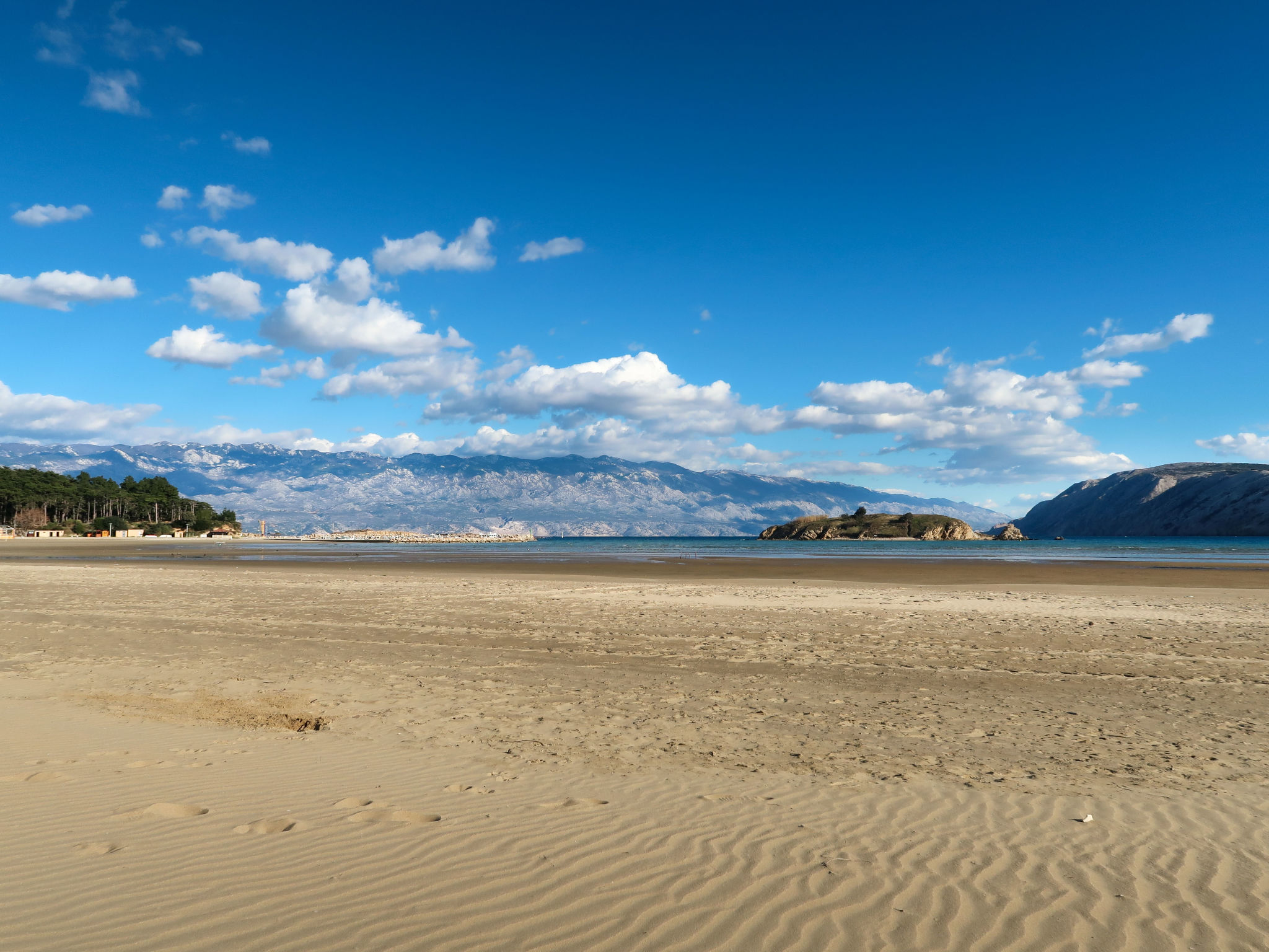 Delfa Pećarina-Area