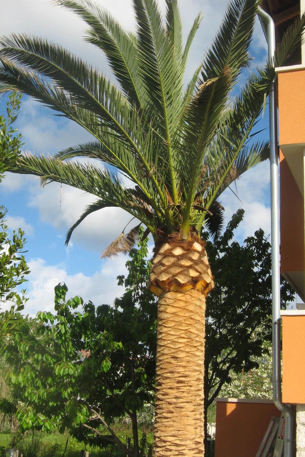 Zentrale Ferienwohnung mit Balkon