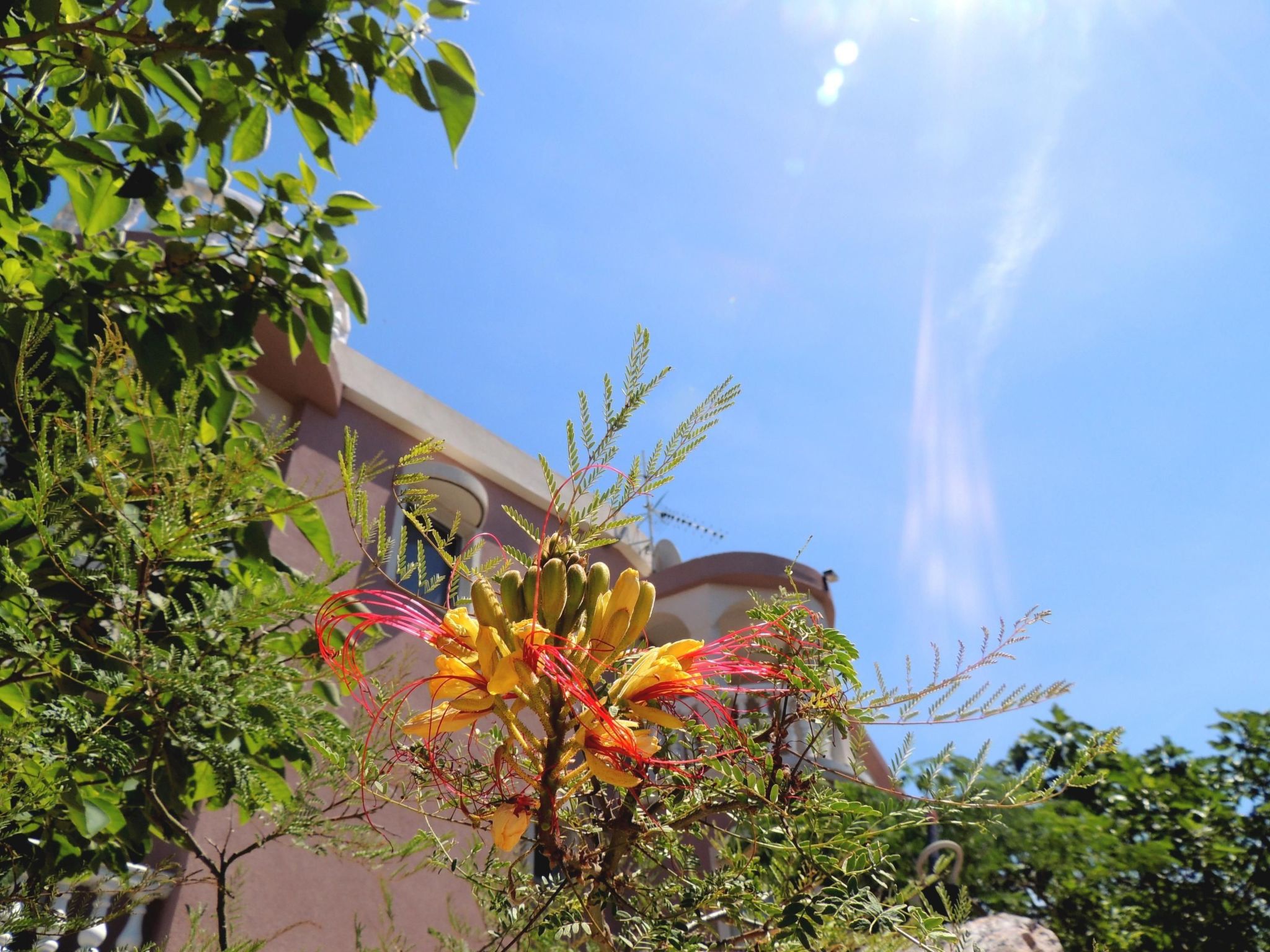 Studio mit Terrasse für zwei Personen-Image-tags.info