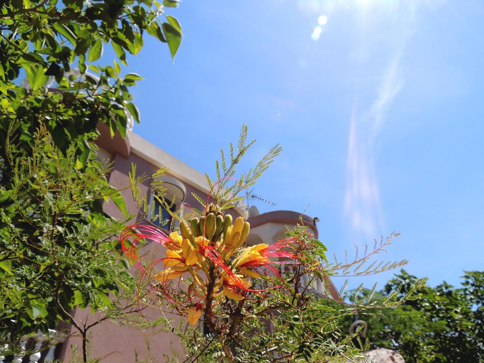 Wohnung "Tea" mit Garten, Grill und Terrasse