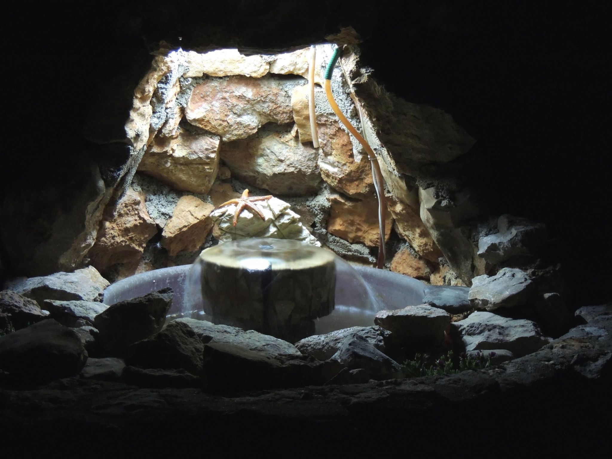 Wohnung "Tea" mit Garten, Grill und Terrasse-Draußen