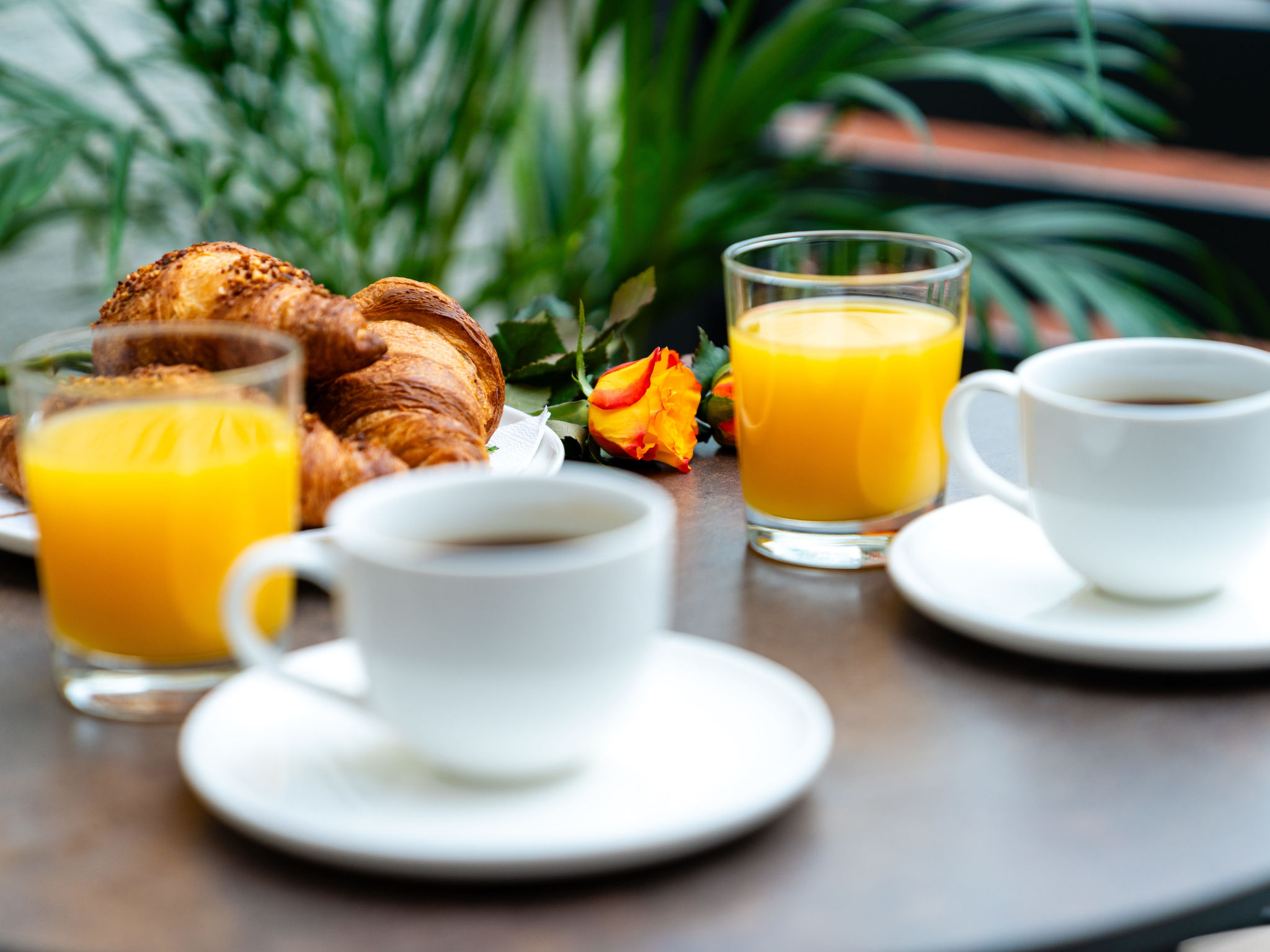 Apartment Lika-Buiten