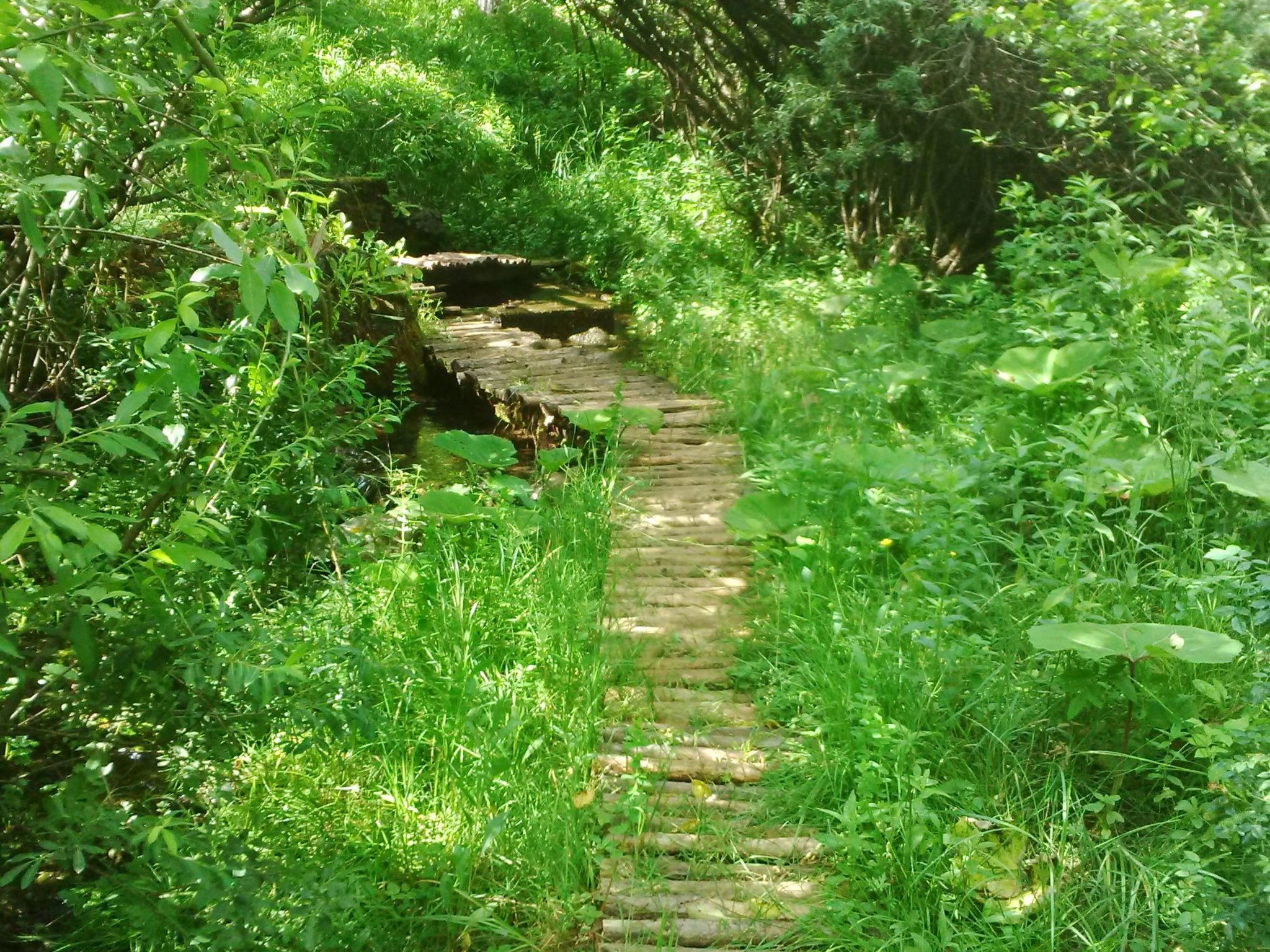 Berghütte "Rural escape Chalet"-Binnen