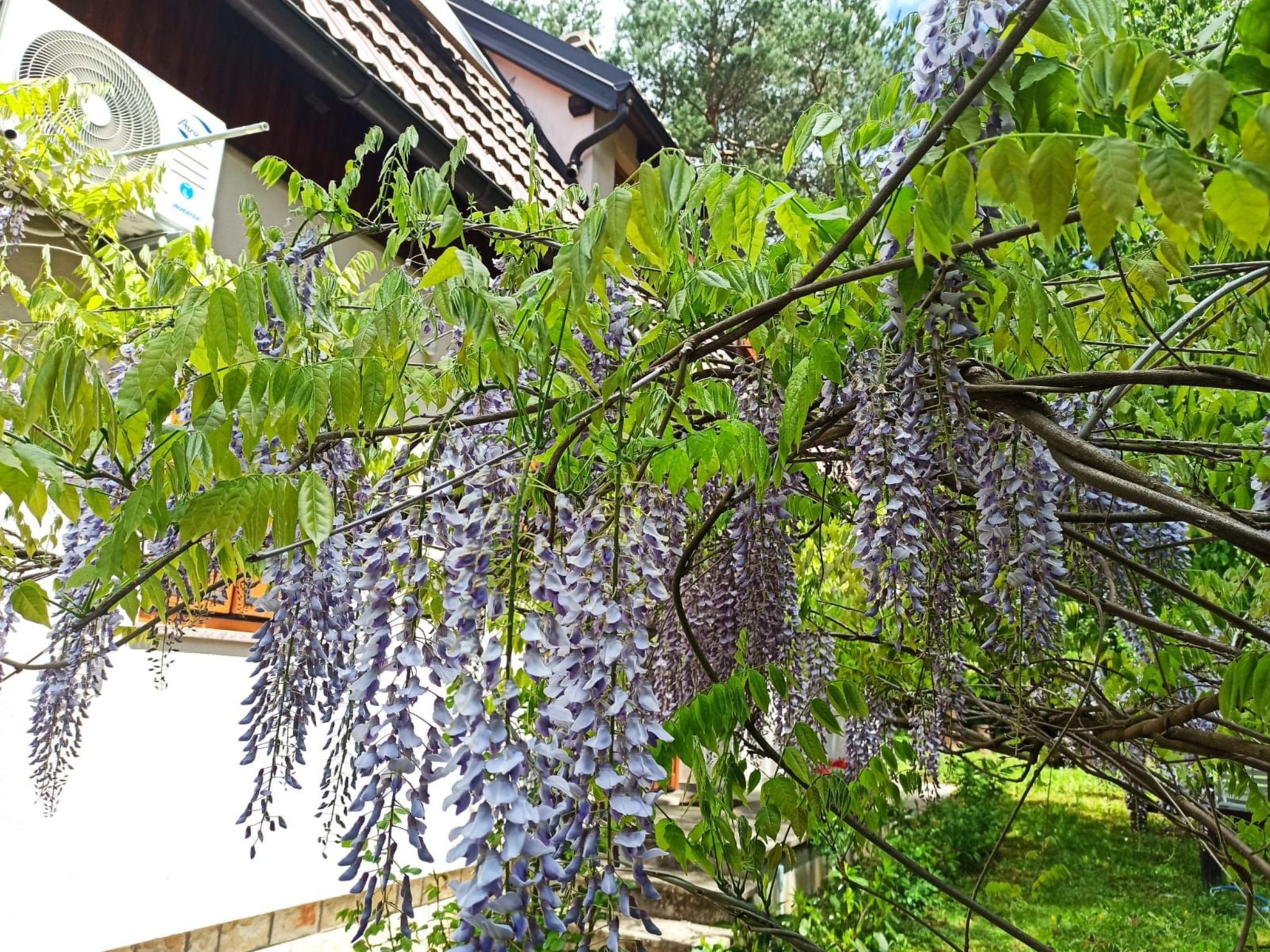 Übernachtung für einen unvergesslichen Besuch der Plitvicer Seen-Dedans