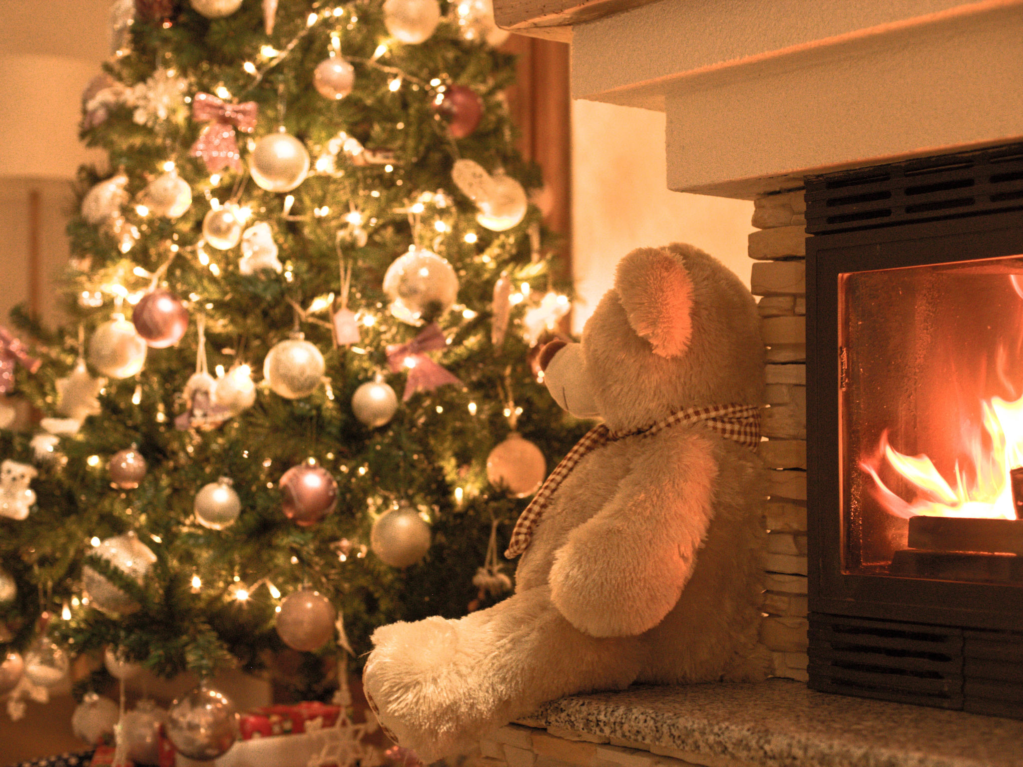 House Mali Medo - Binnen