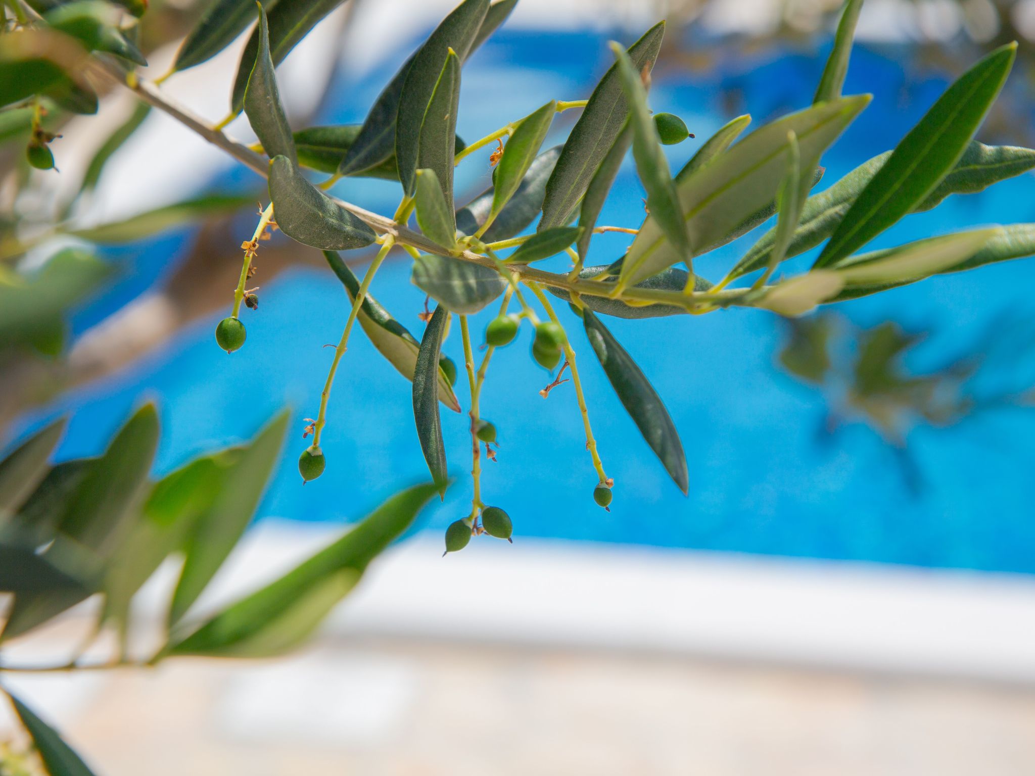 Holiday home Tina with Private pool-Image-tags.info