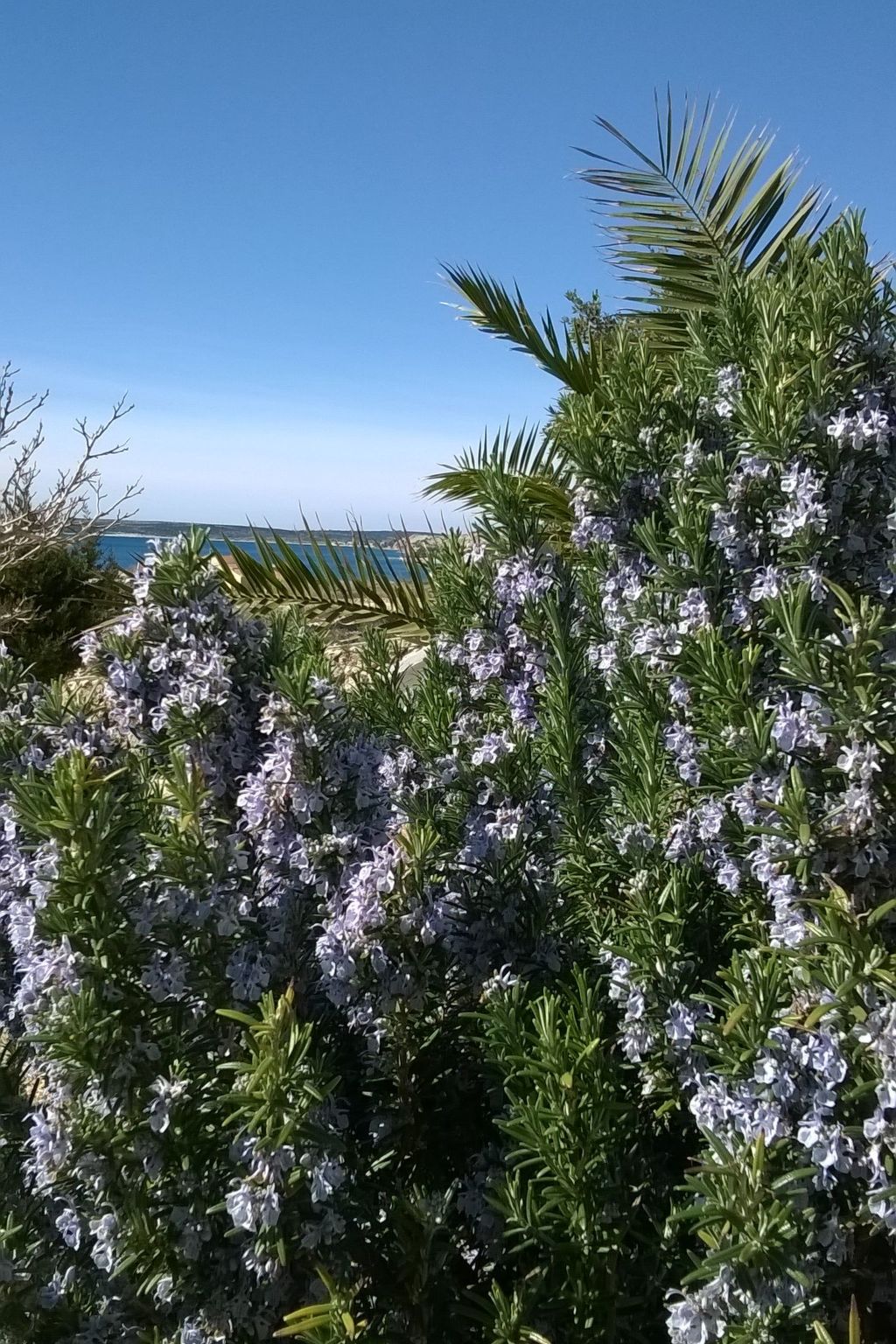 Appartement met zeezicht in Pag/Zubovići, 250m van de Kroatische kust - foto 26
