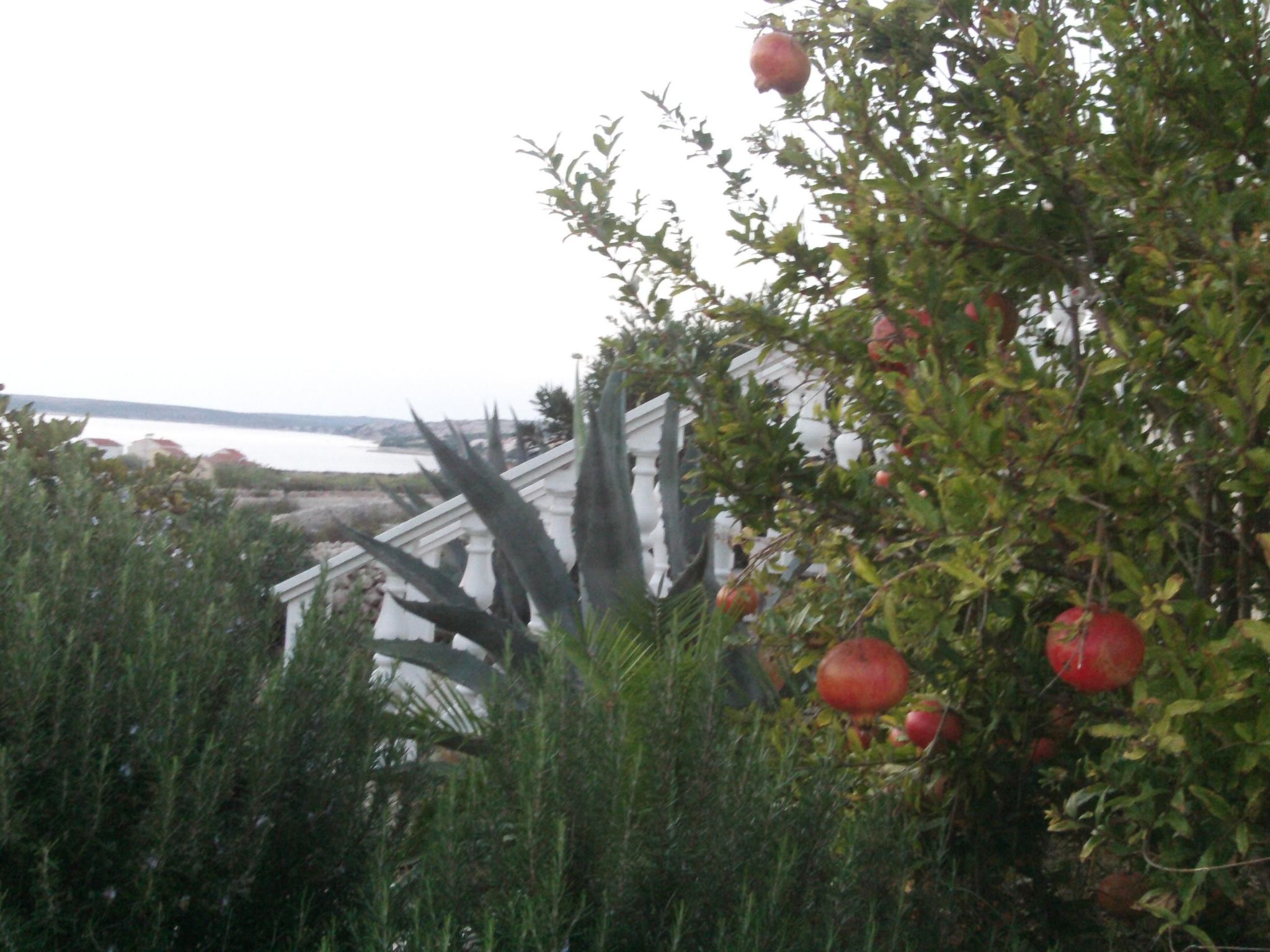 Mit Blick auf das Wasser-Dehors