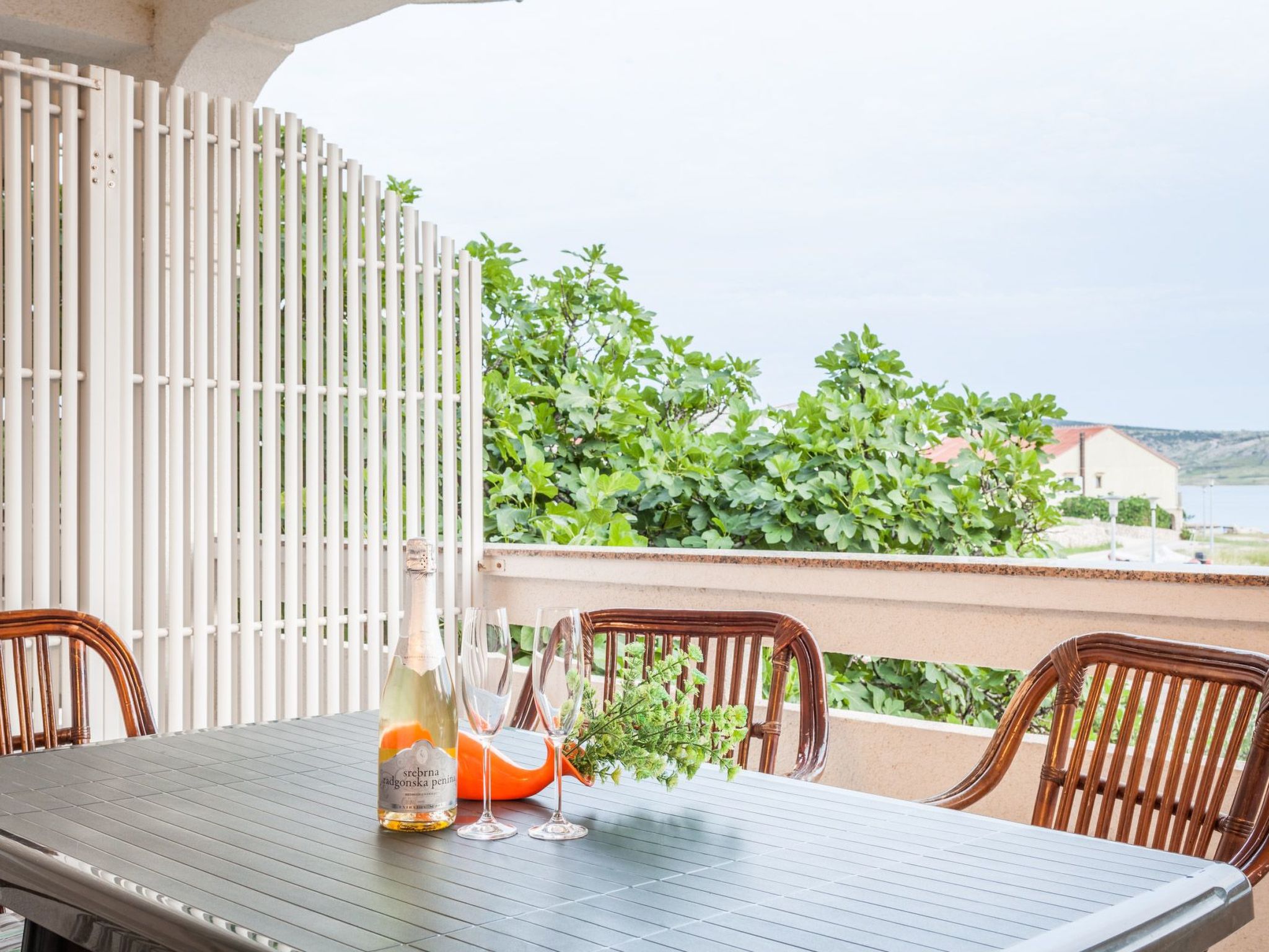 Ferienhaus in Pag/Zubovici (Kroatien) und 1 Hund erlaubt