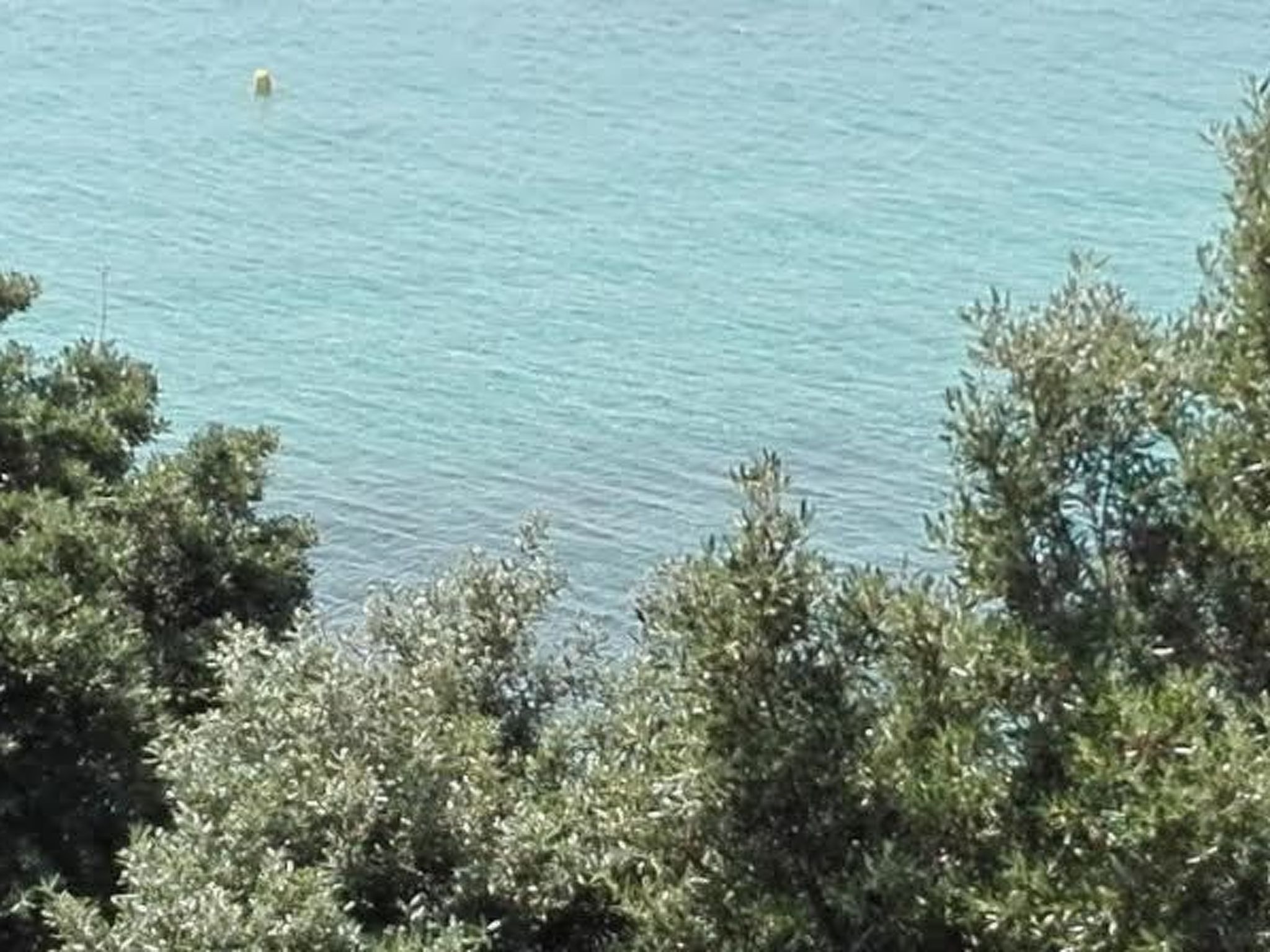 Mia Mandre für vier Personen-Image-tags.info