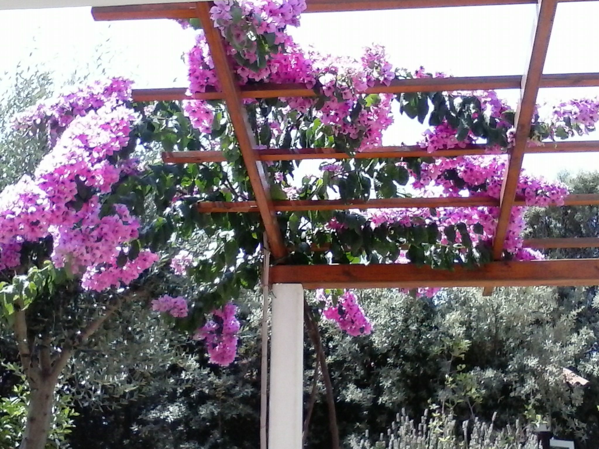 Erdgeschosswohnung Mia für vier Personen-Binnen